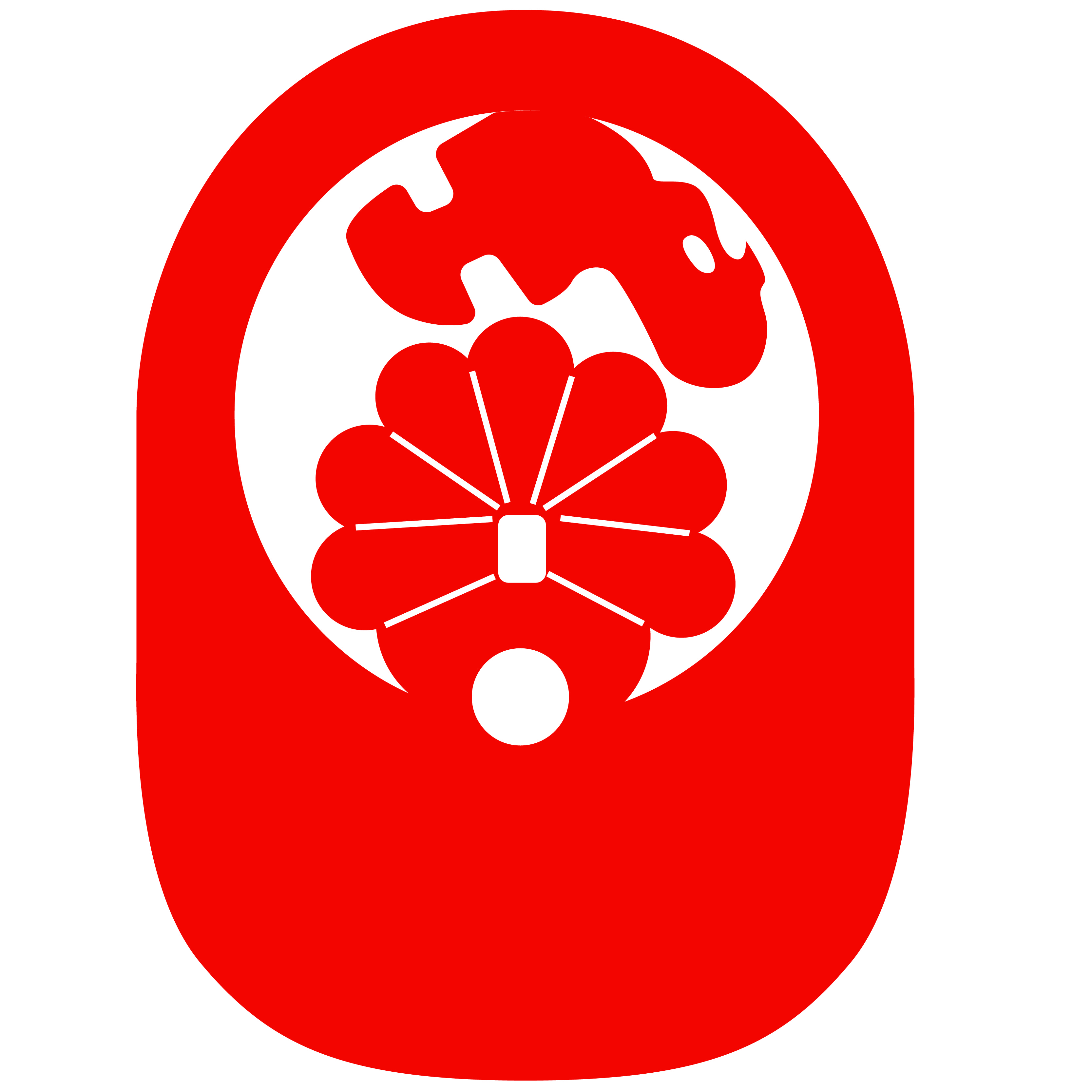 Turkey PopUp Visor 75