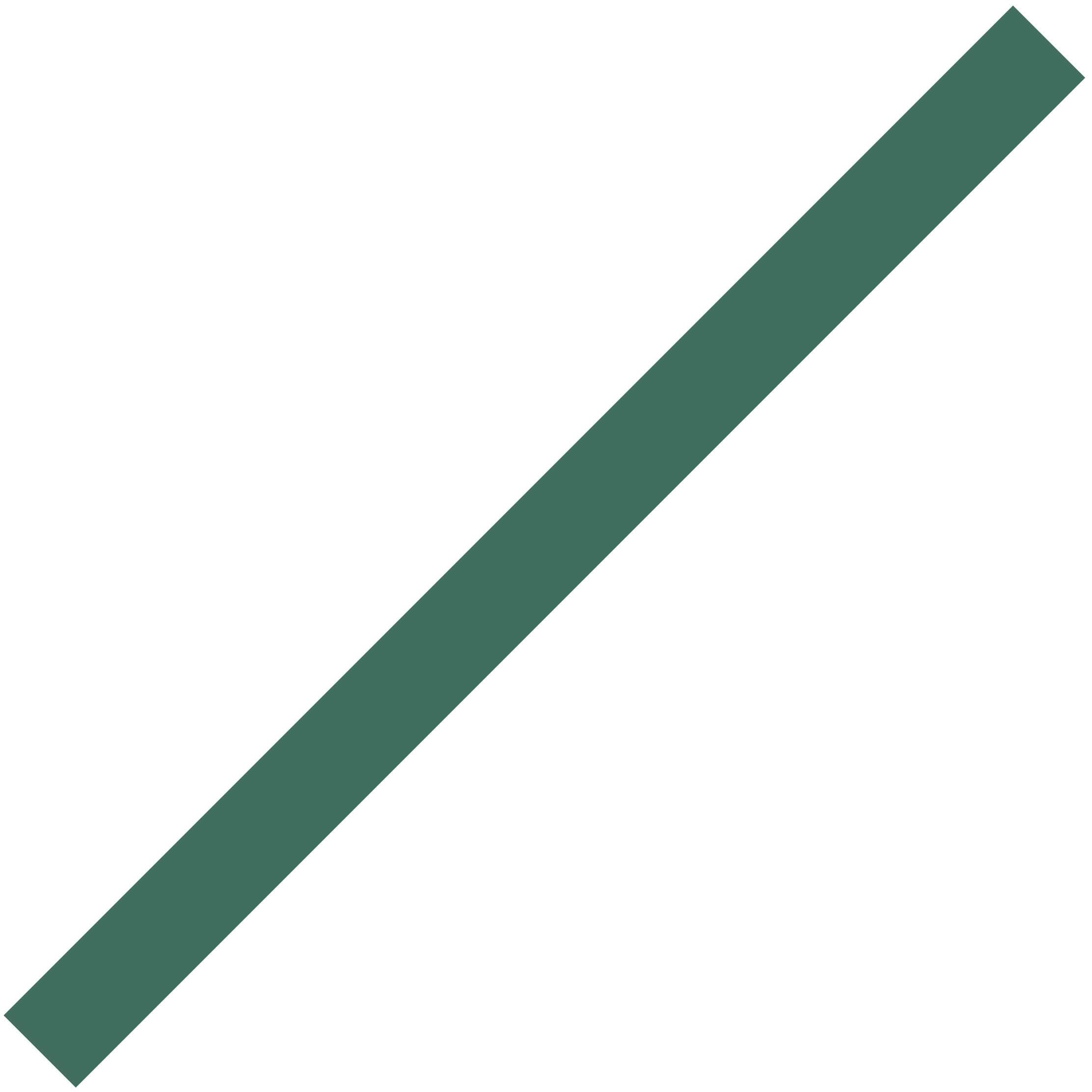 28" Foam Noodle 62