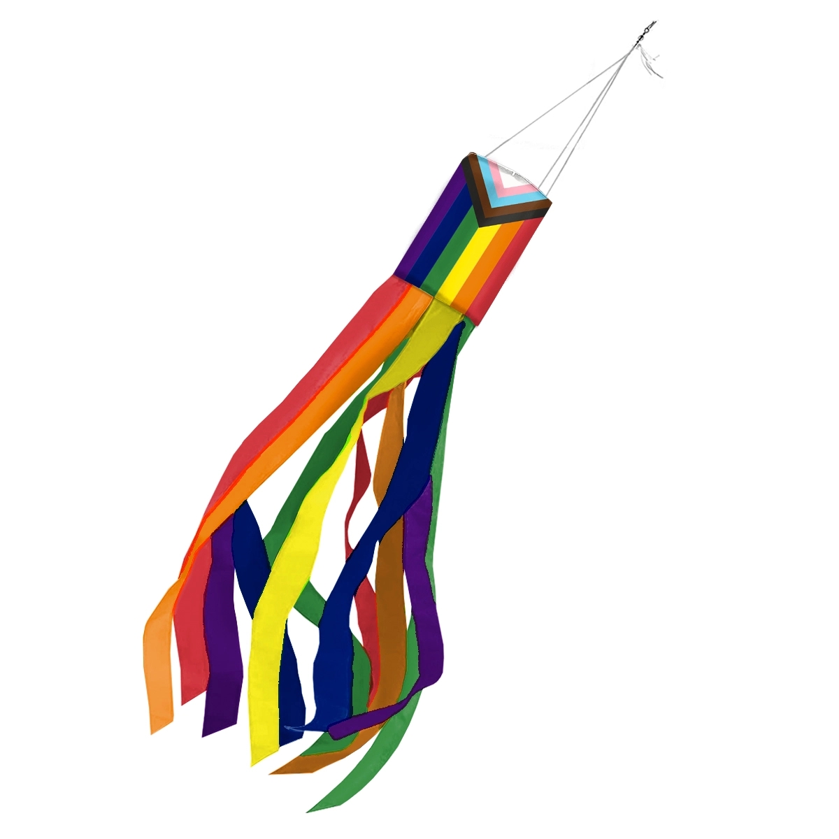 Guderian Business Forms Progressive Pride Windsock