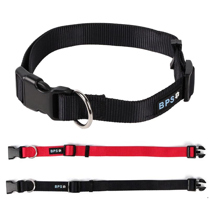 Nylon Dog Collar