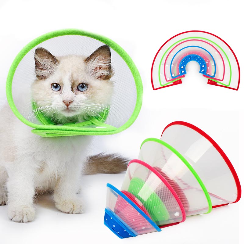 Adjustable Elizabethan Collar