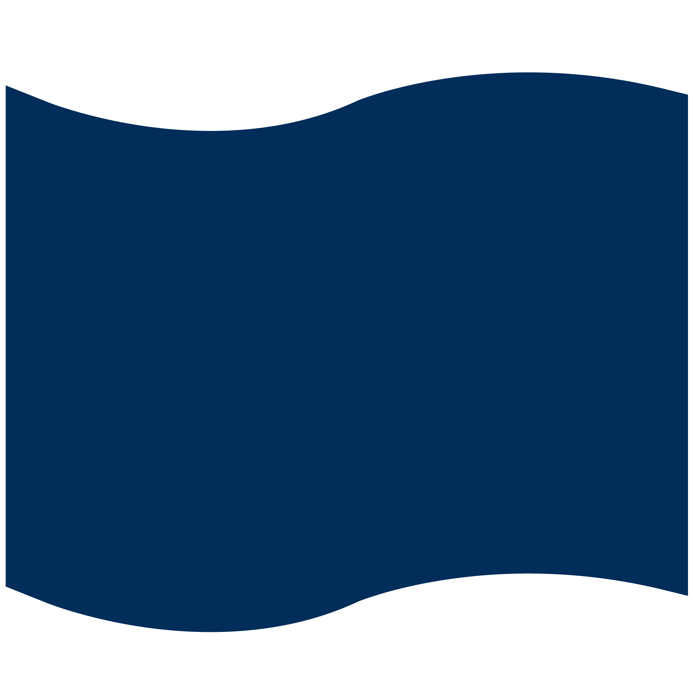 Foam Flag Mitt 40