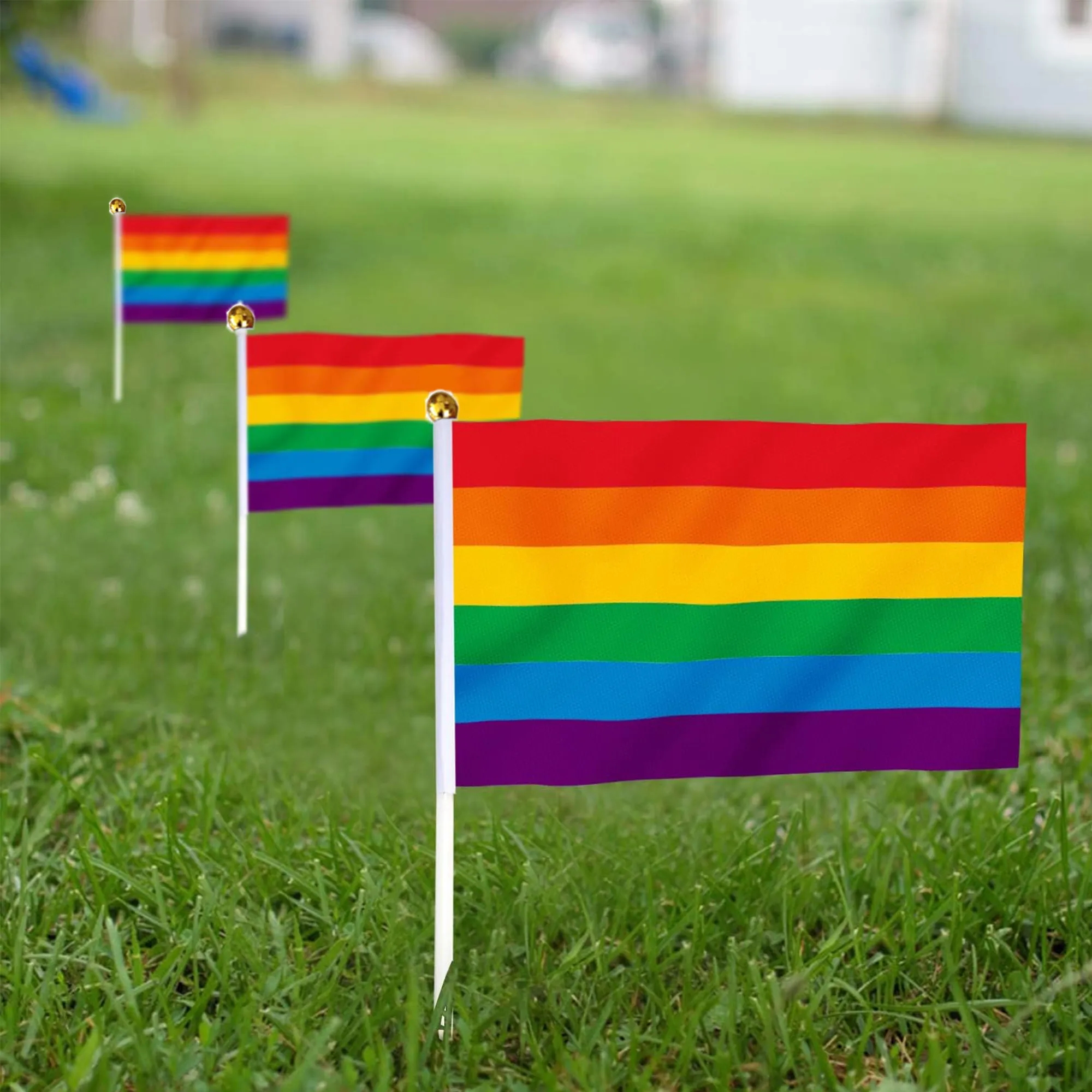 Mini Handheld Rainbow Flag Decoration Event Festival 10