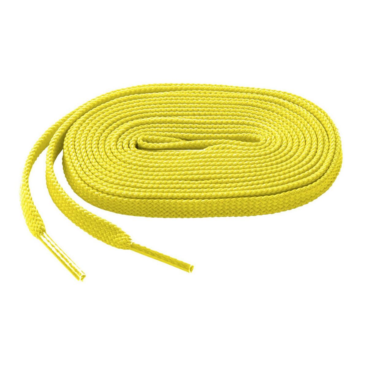 Shoelace 43