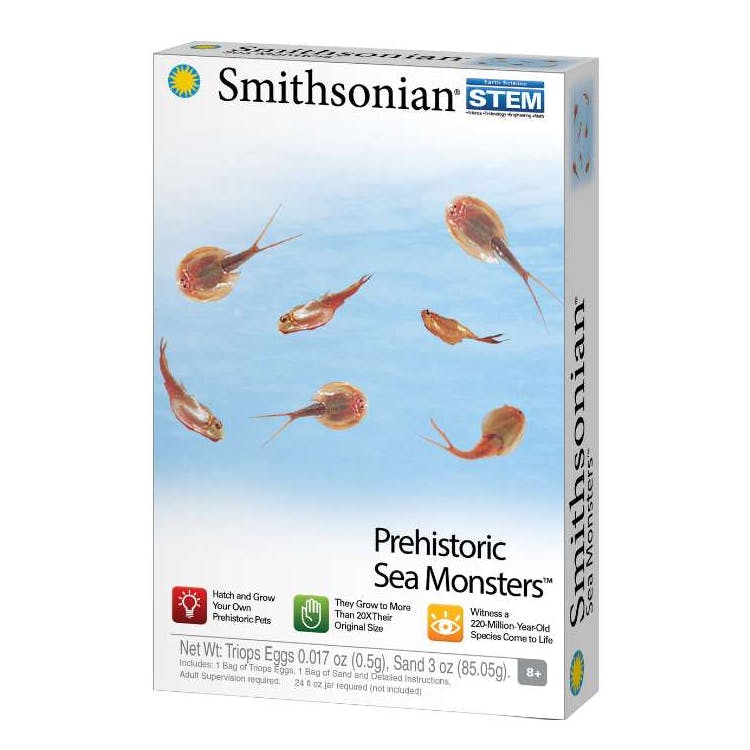 Smithsonian Prehistoric Sea Monster Kits 3