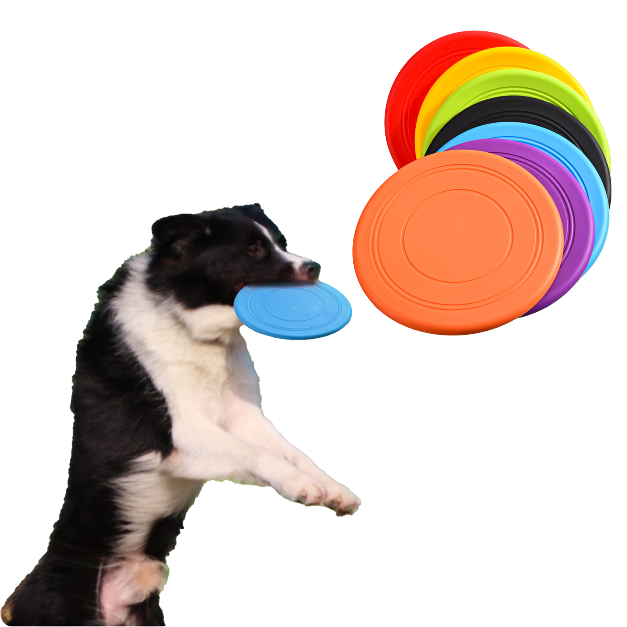 Pet-Safe Flying Disc MOQ50 4