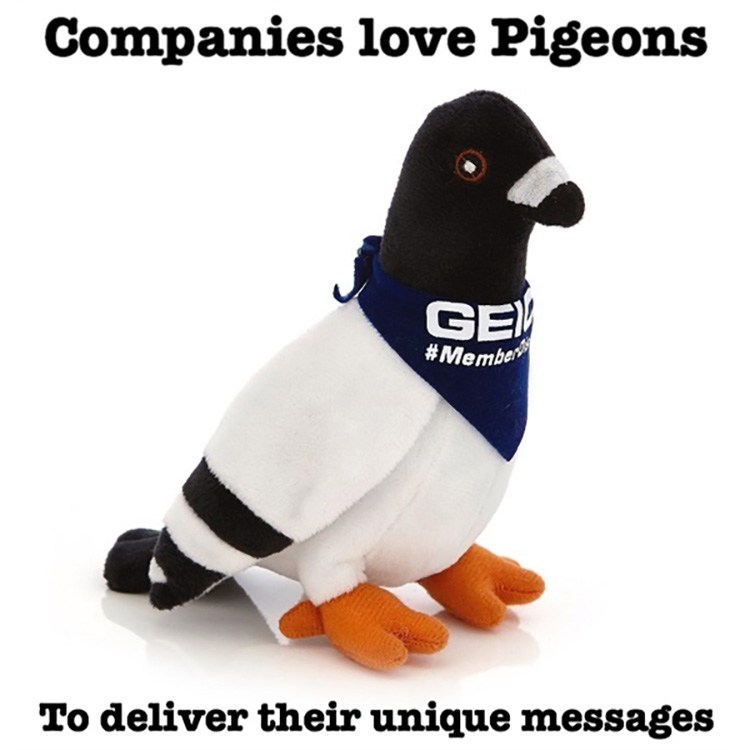 pigeon cuddly toy