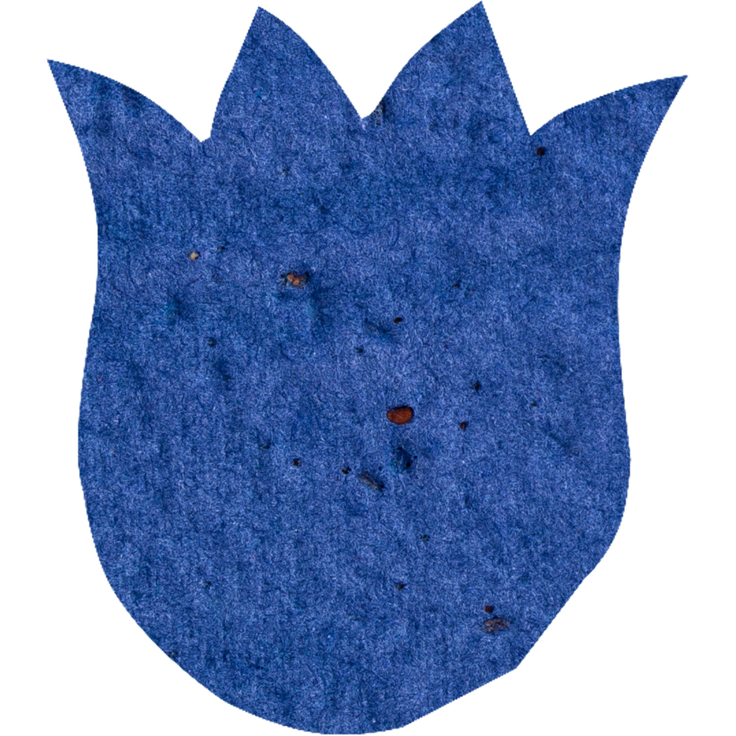 Plant-A-Shape Confetti Packet 73