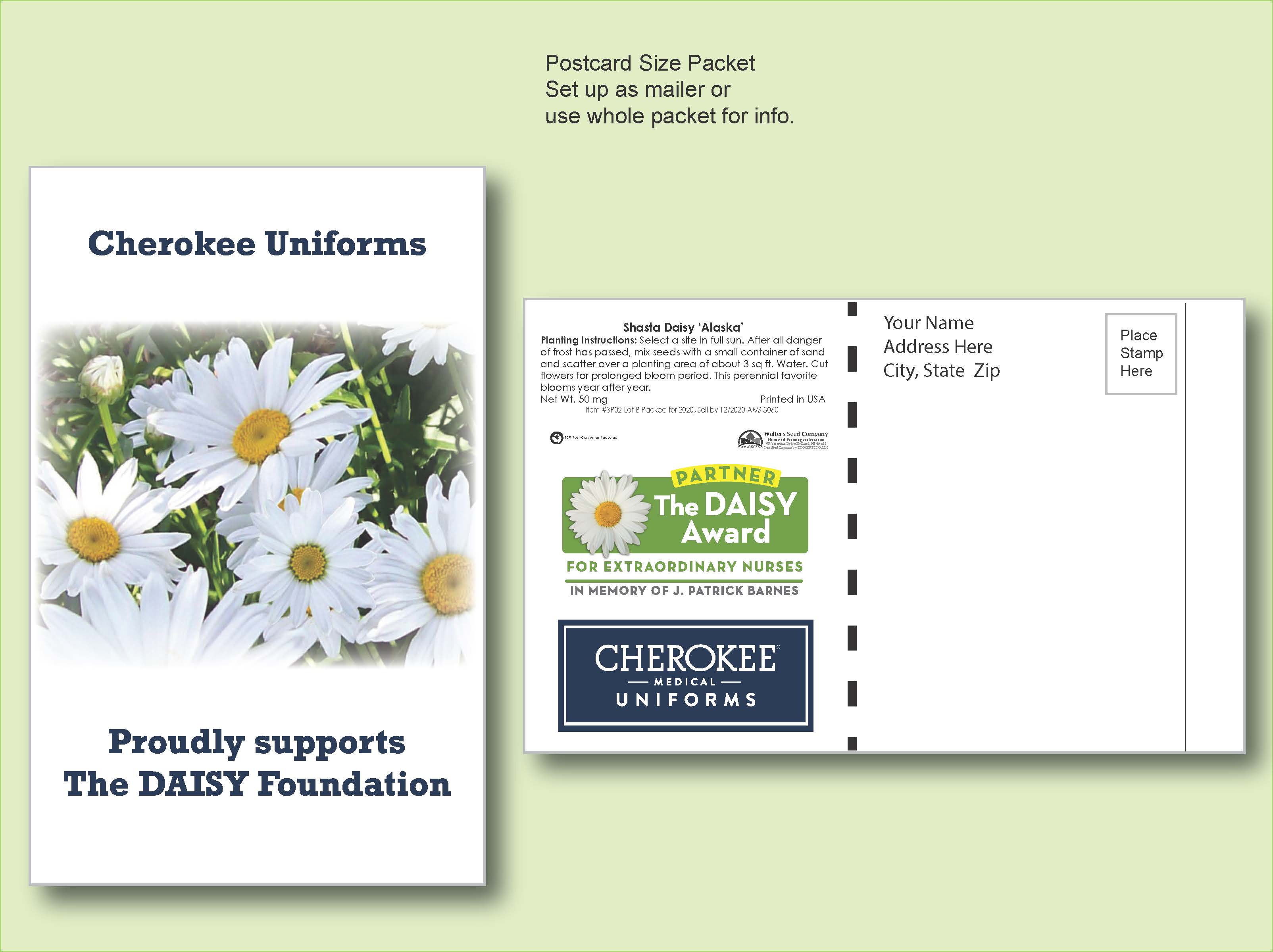 Shasta Daisy Flower Seed Packet - Postcard Mailer Size 4" x 6.5"