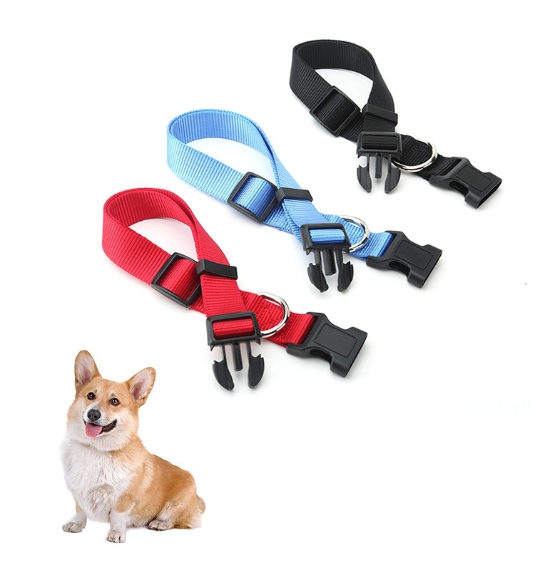 Nylon Dog Collar
