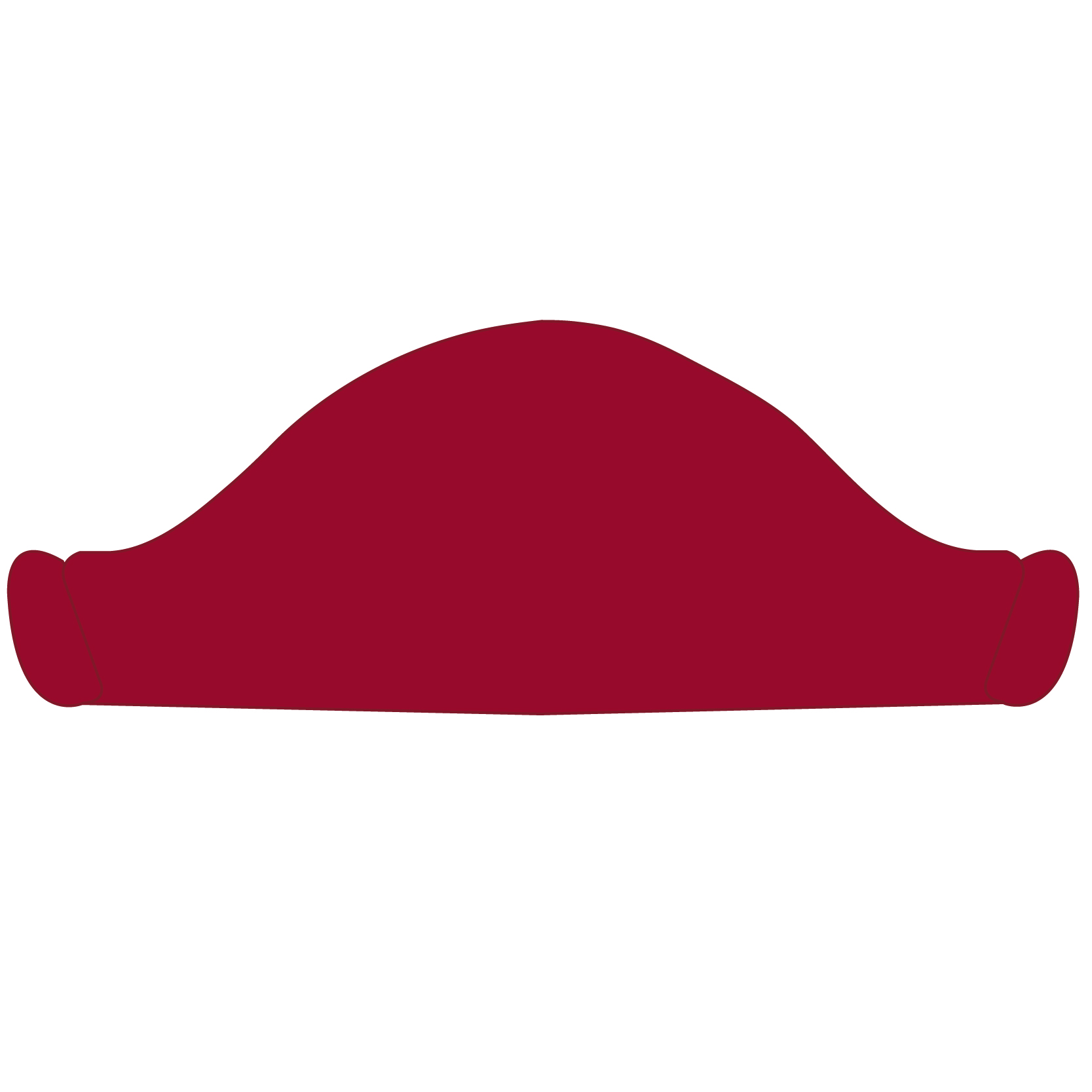 Pirate Hat 53