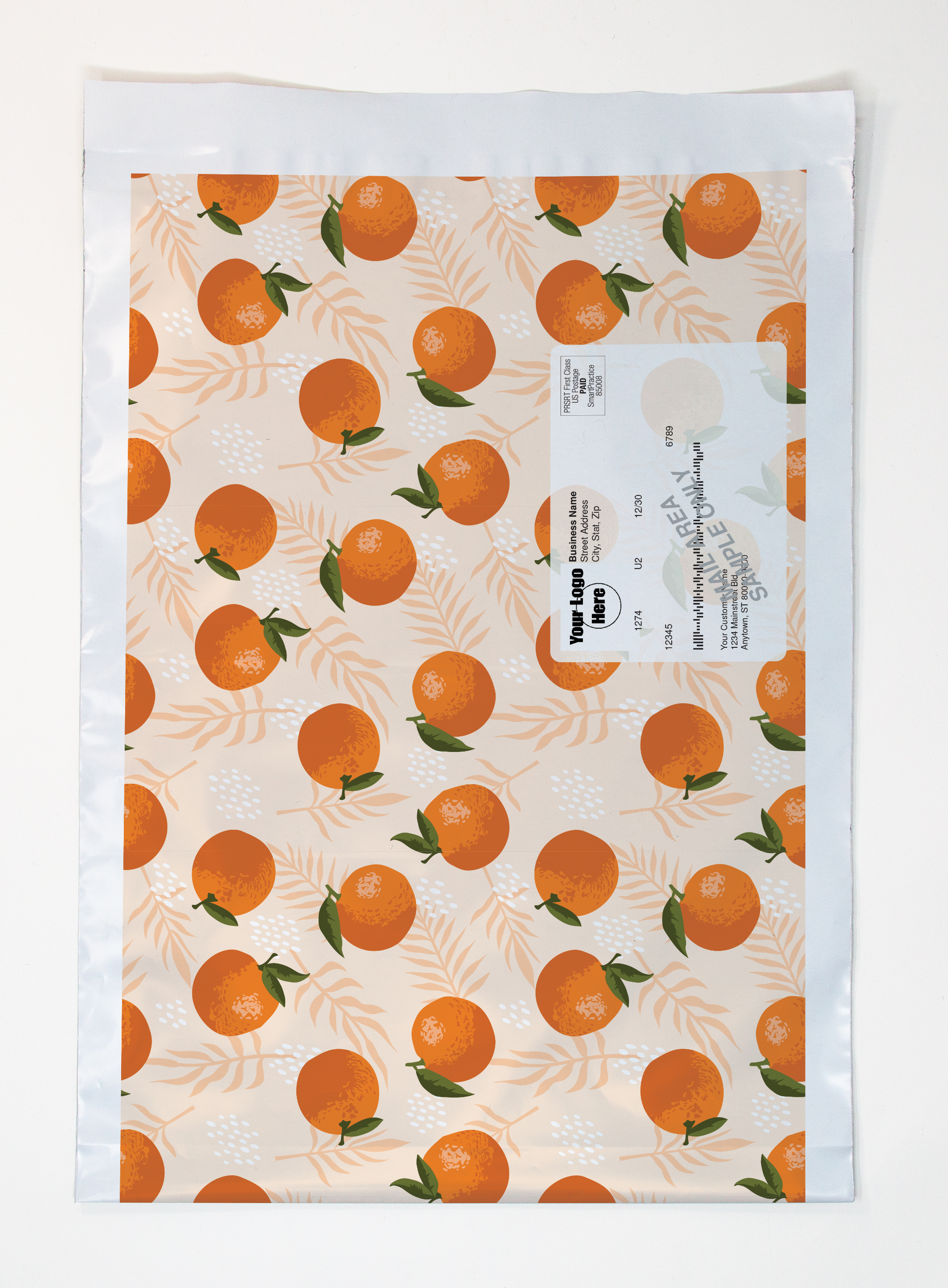 Variable Addressing Expandable 2-Sided Poly Mailer Full Color (9.75" x 12" x 4") 2