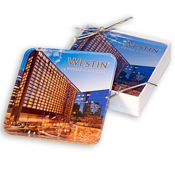 Custom Acrylic Coaster Set of 2 - Rubber Feet 9