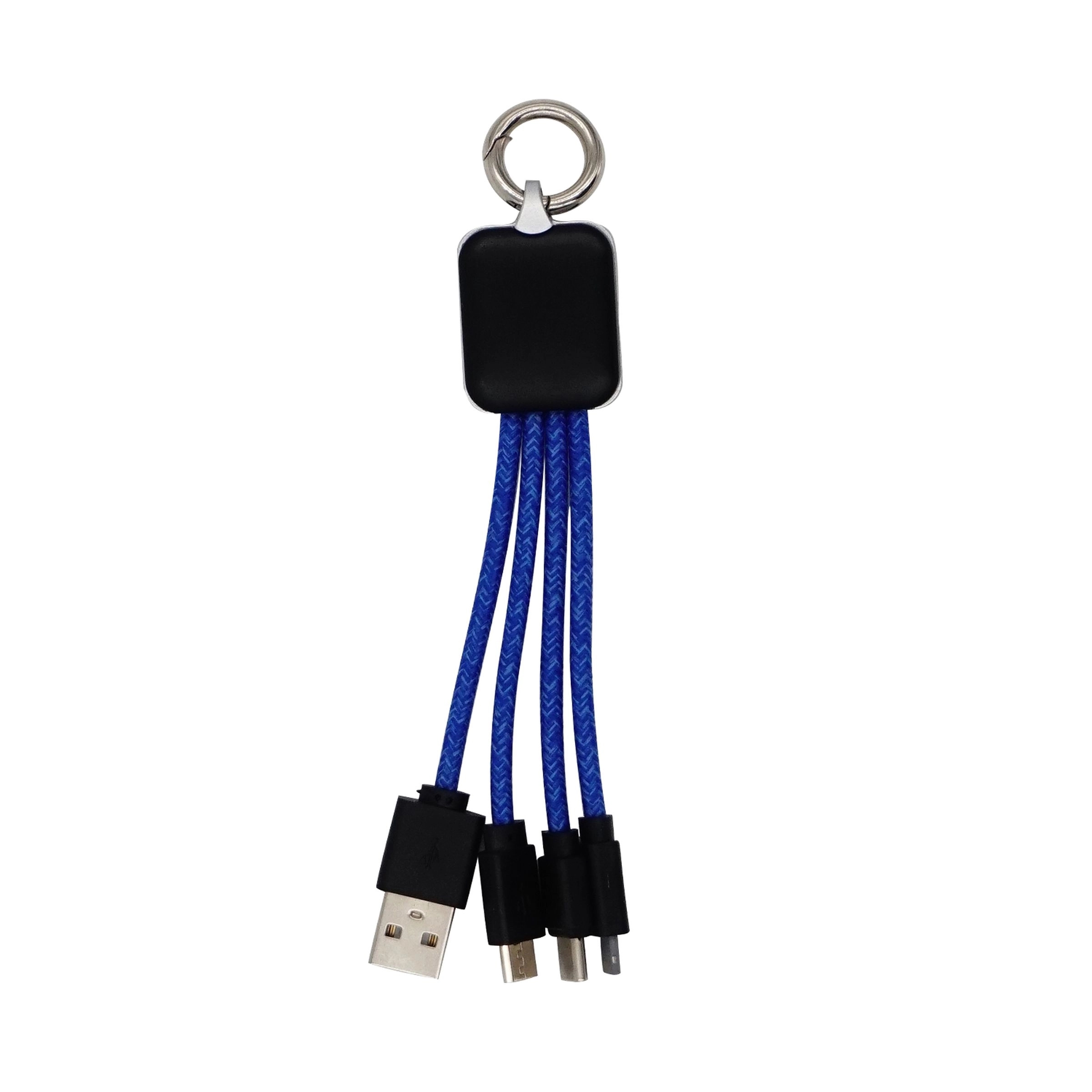 Ridge Logo Light Up Cable with Type C USB 2