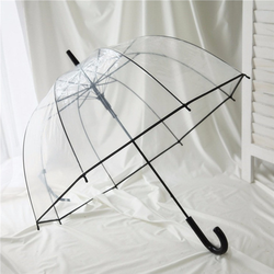 The TranWTarent Umbrella