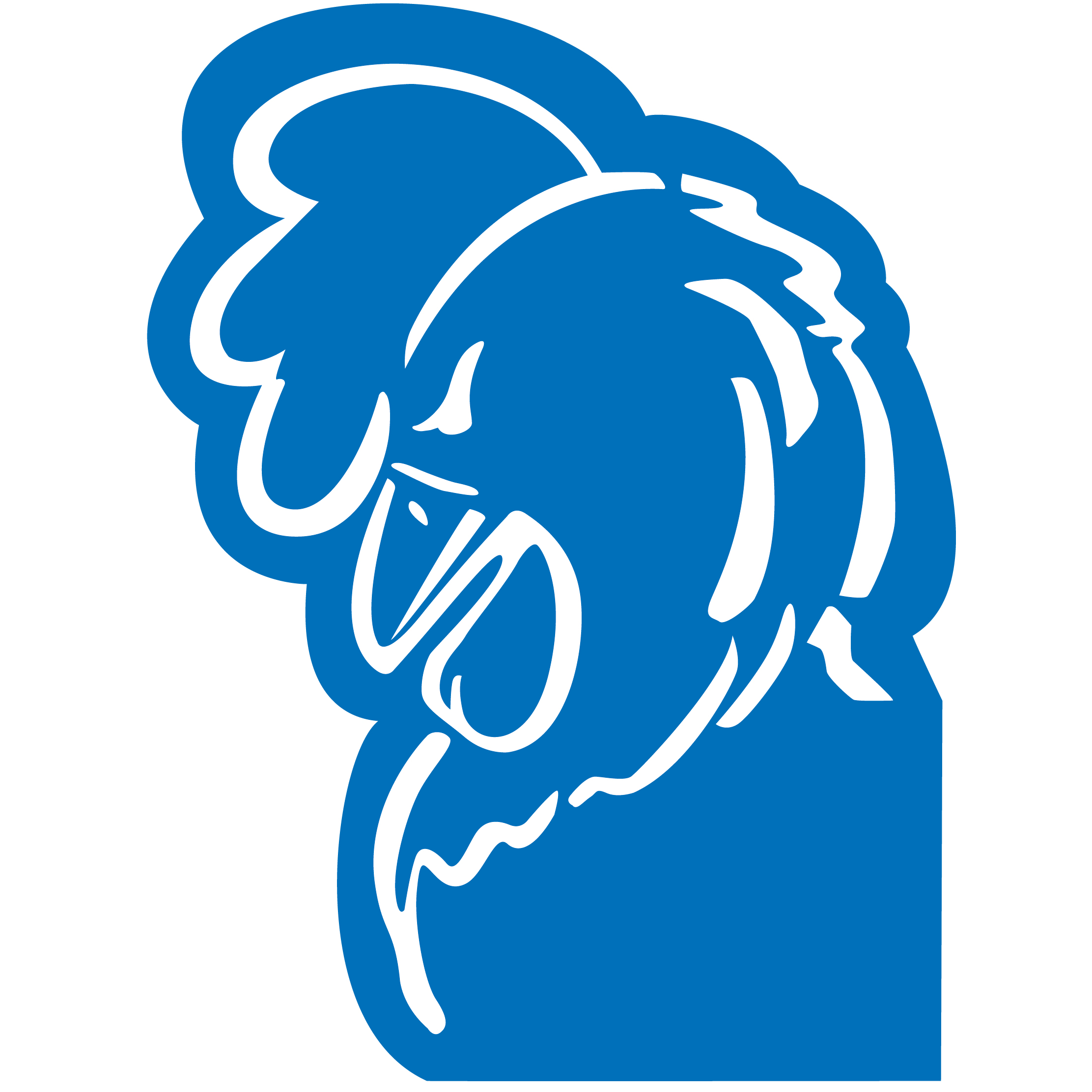 Foam Rooster Mitt 55