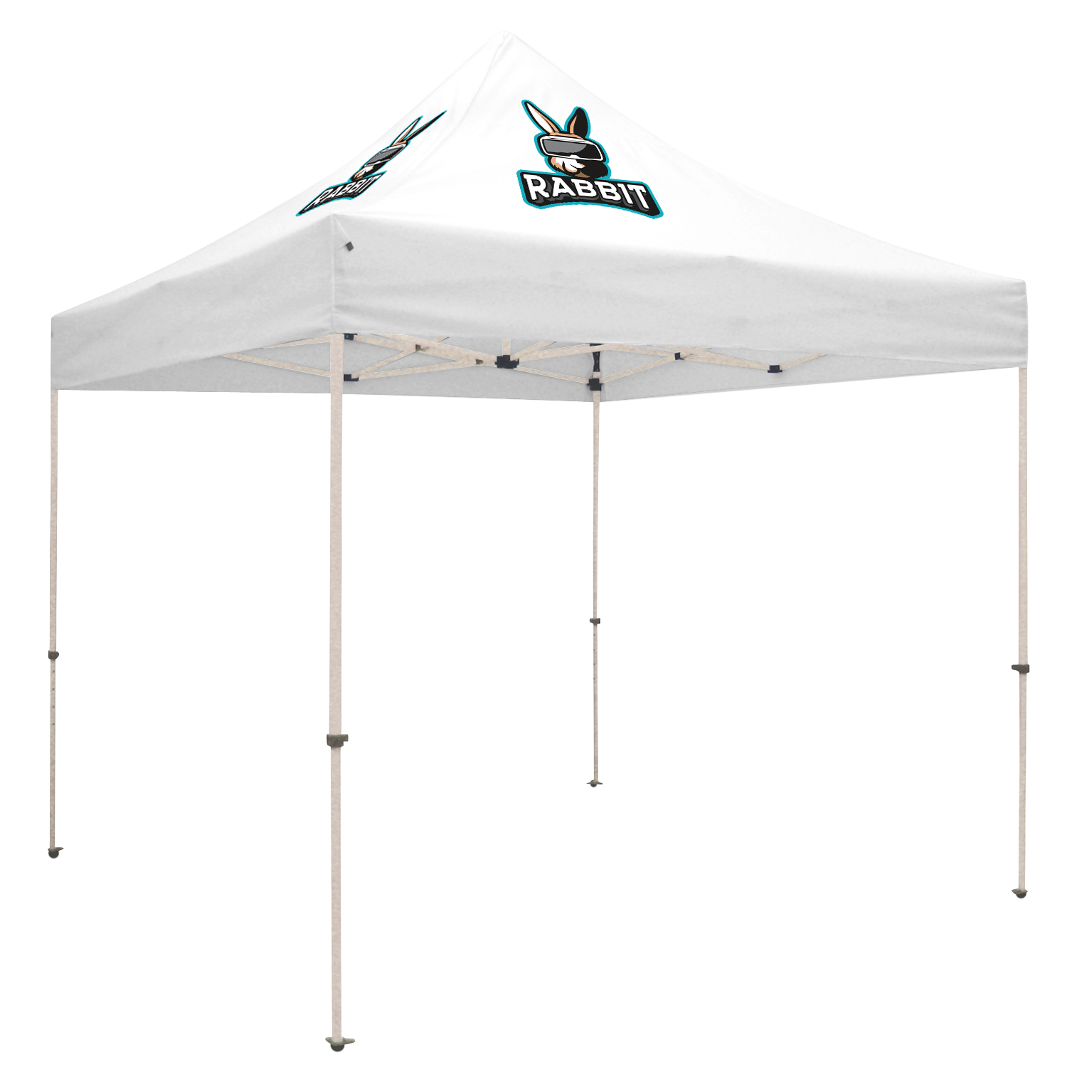 10' Standard Tent Kit (Full-Color Imprint, 2 Locations) 50