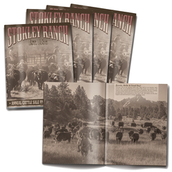 68-page (8.5x11) Booklet (High Gloss UV-Coated Cover)