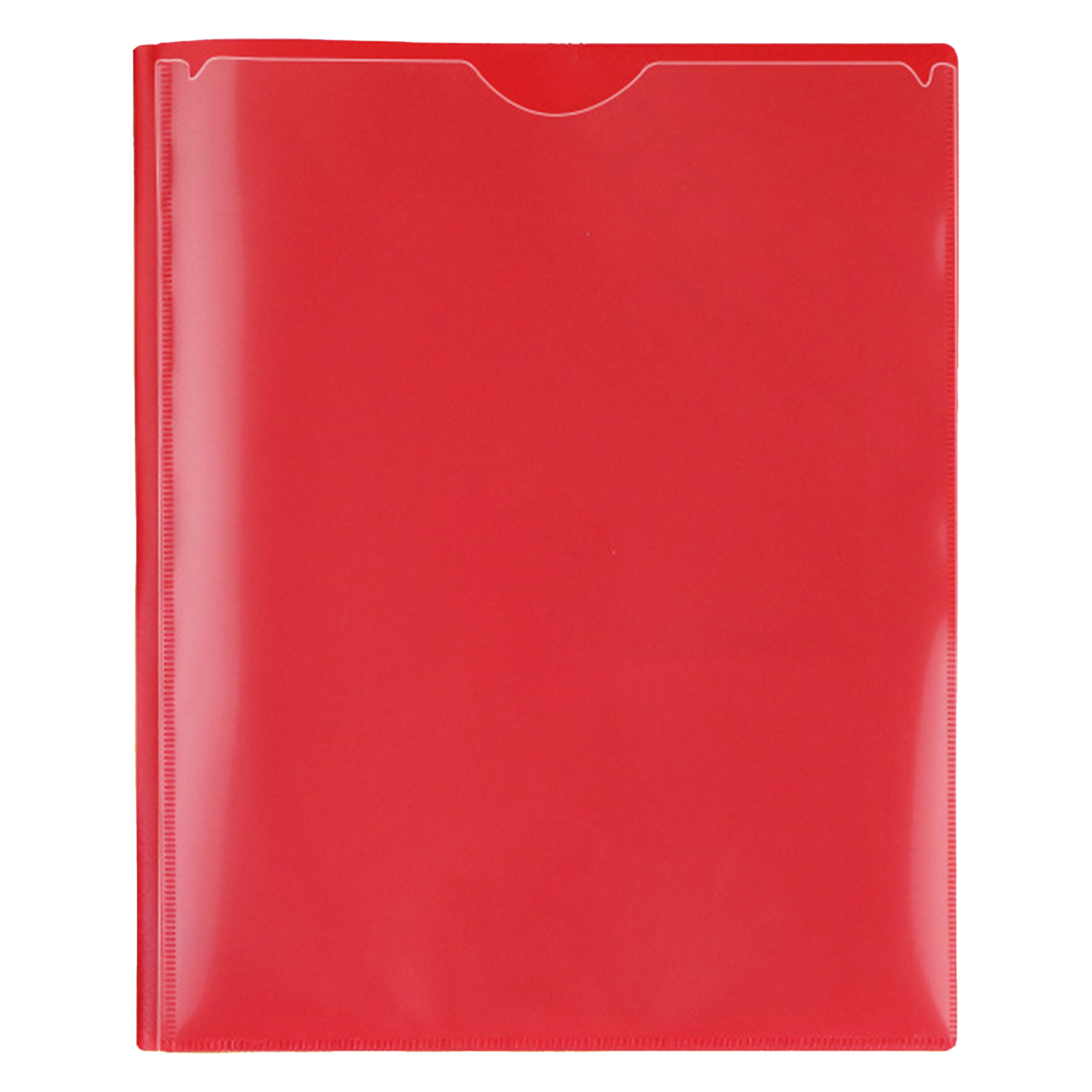Plastic Storage Classification Folder 21