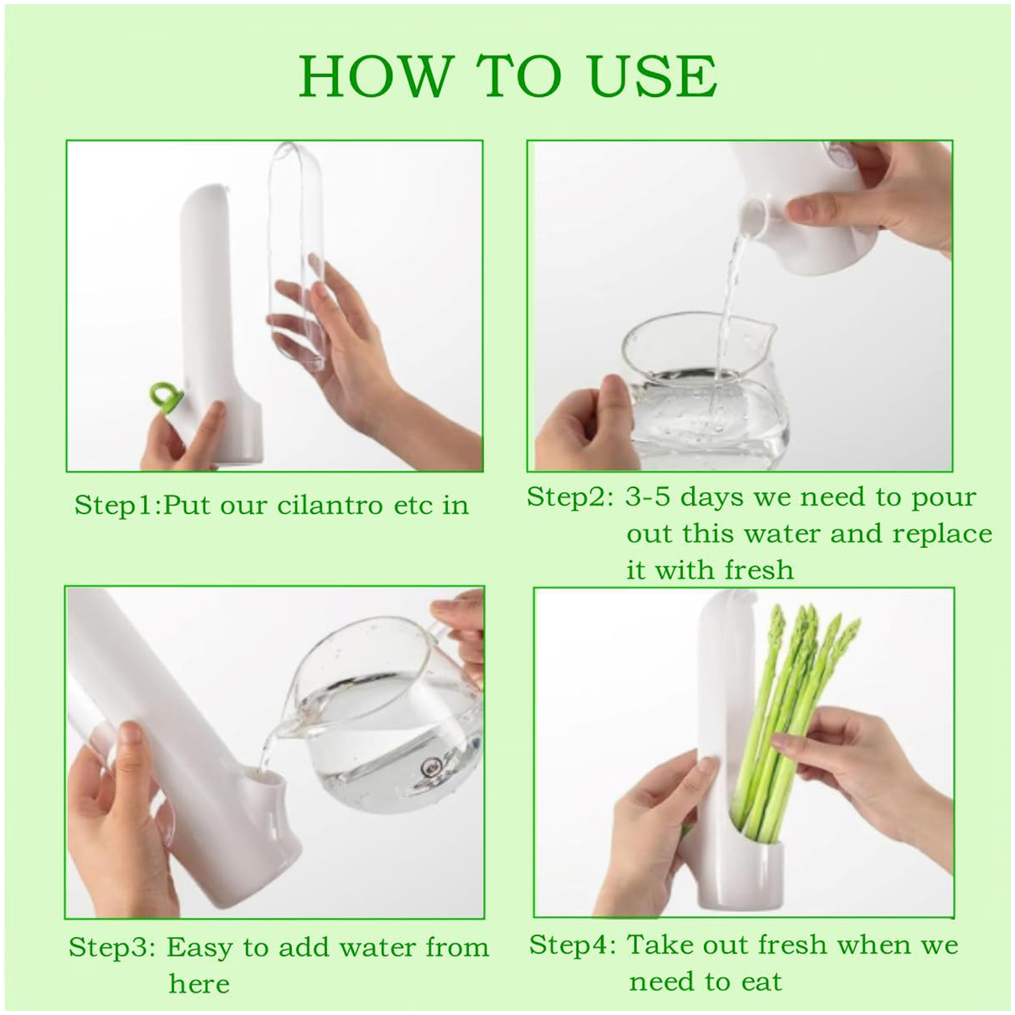Herb Saver for Refrigerator 6