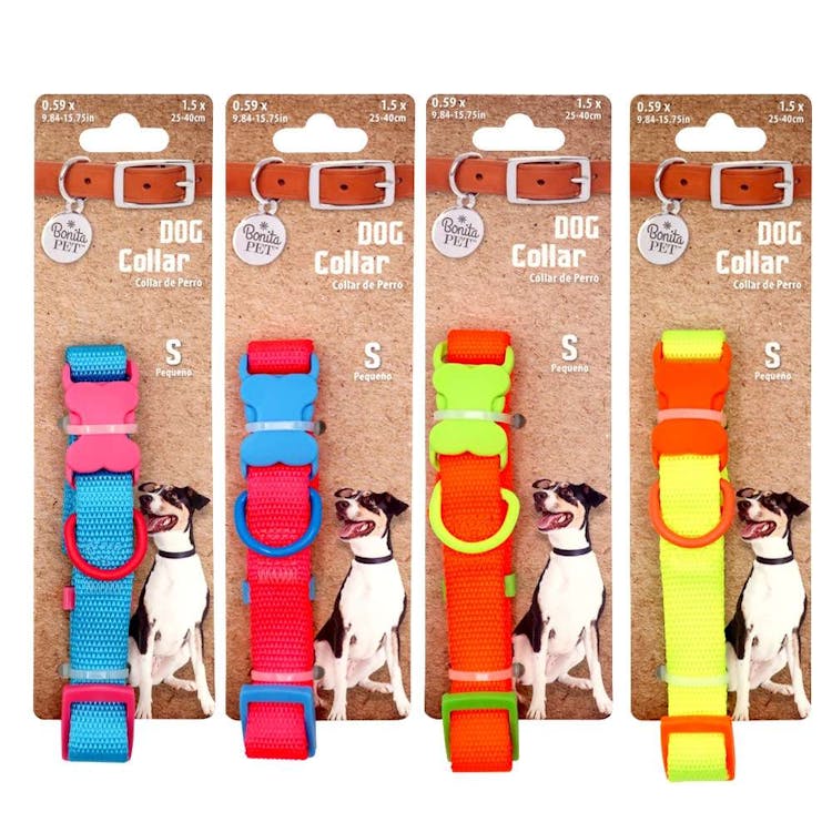 Dog Collars - Neon Small 3