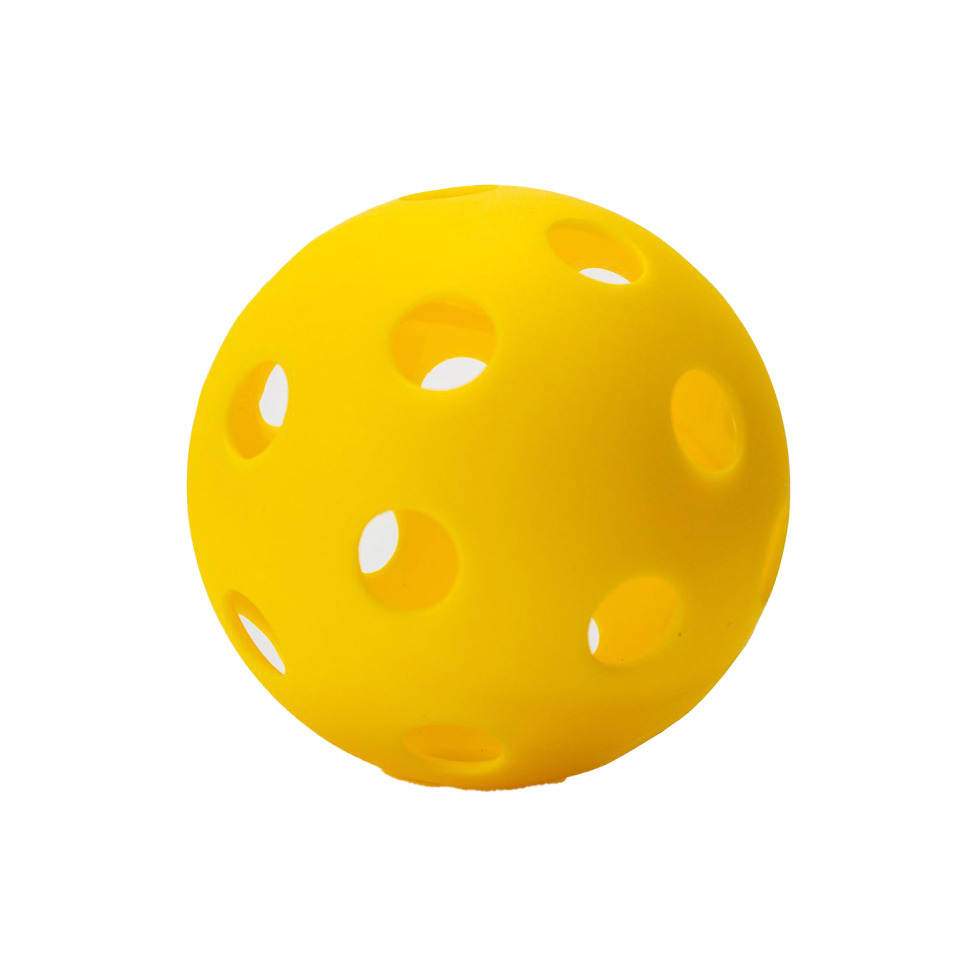 Elastic Injection Molding Pickleball 10