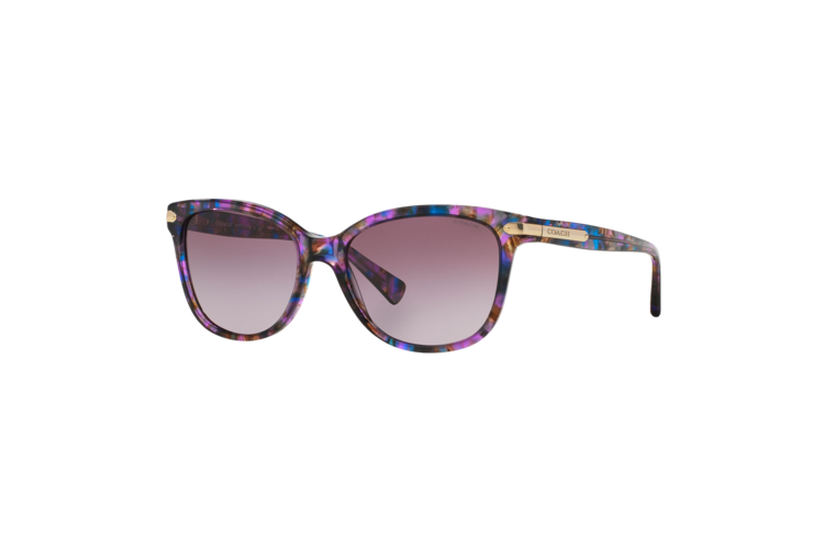 Coach Women's HC8132 Sunglasses 4