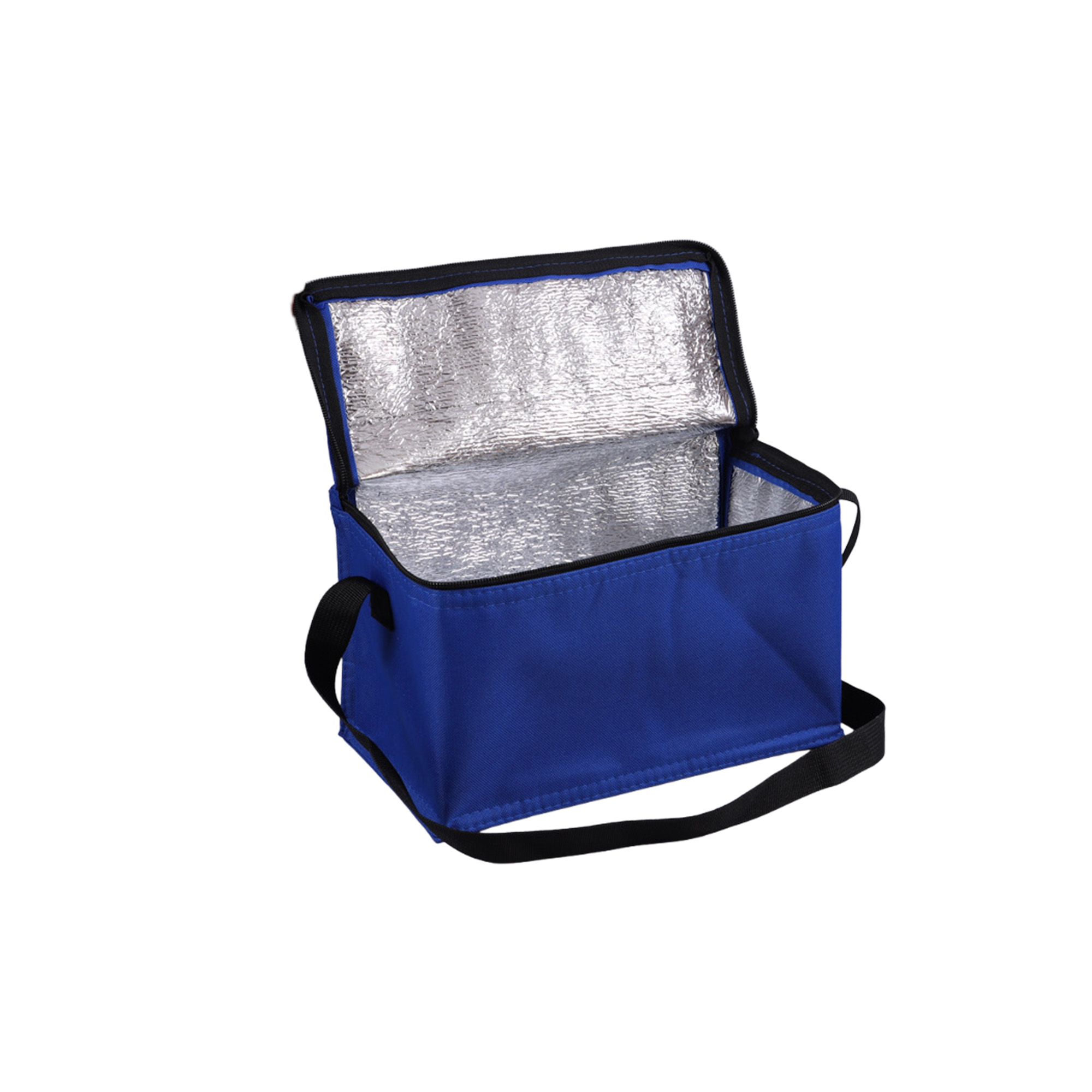 Oxford Portable Insulated Cooler Bag 8