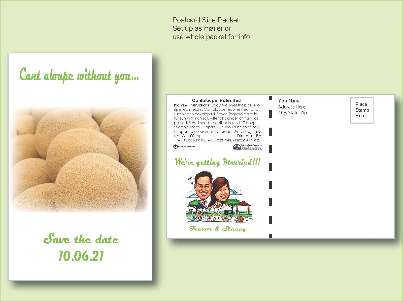 Cantaloupe 'Hale's Best' - Postcard Mailer Size 4" x 6.5"