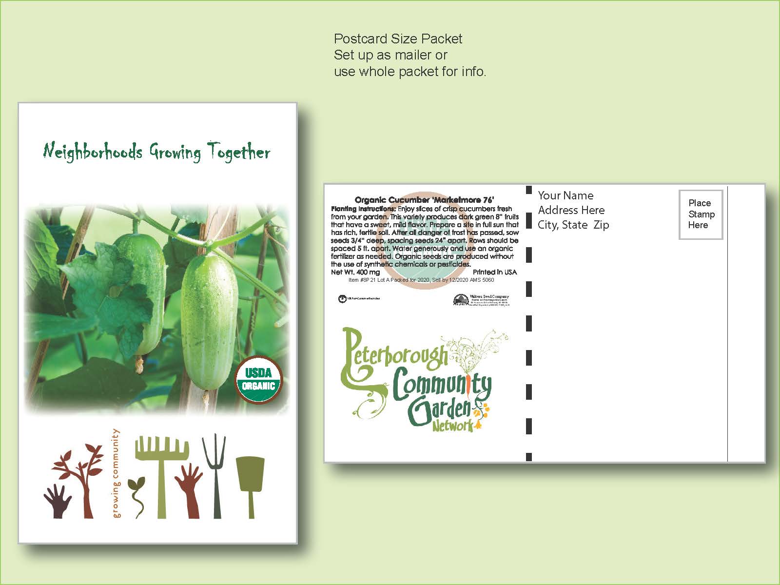 Organic Cucumber Marketmore 76 Seed Packets - Postcard Mailer Size 4" x 6.5"