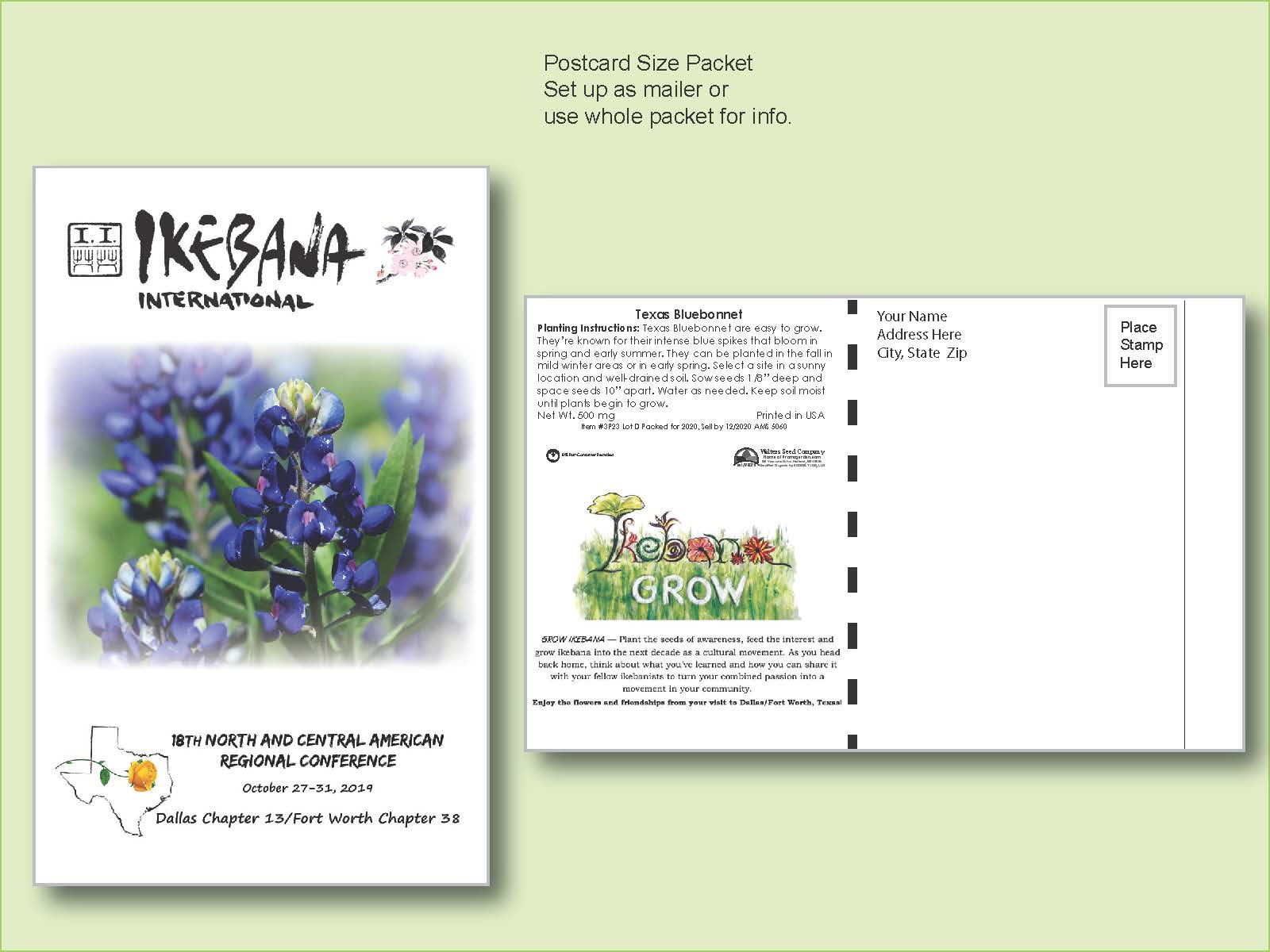 Texas Bluebonnet Seed Packet - Postcard Mailer Size 4" x 6.5"