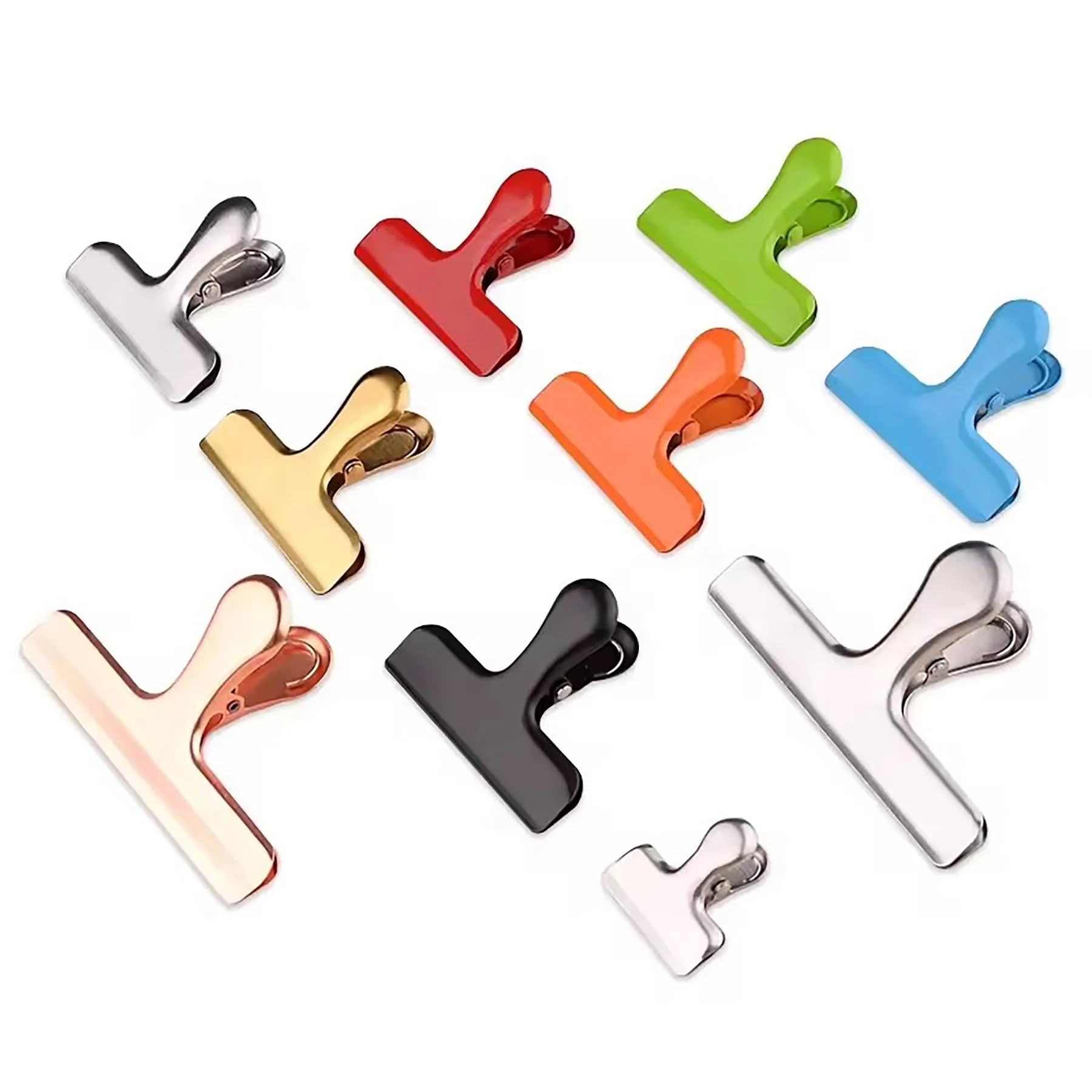 Stainless Steel  Clips 29