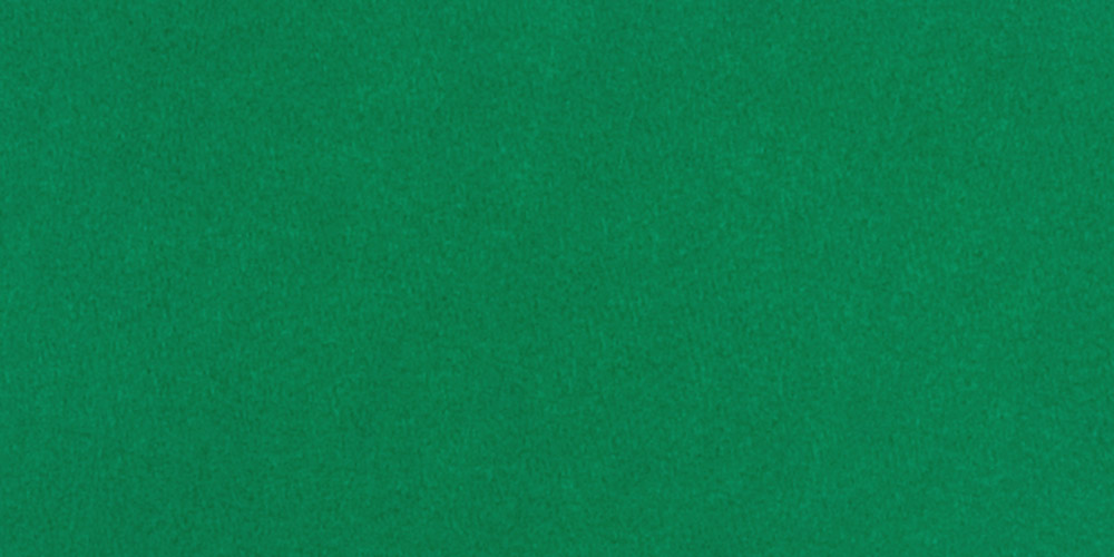 5" x 12" Full Color Felt Pennant 37