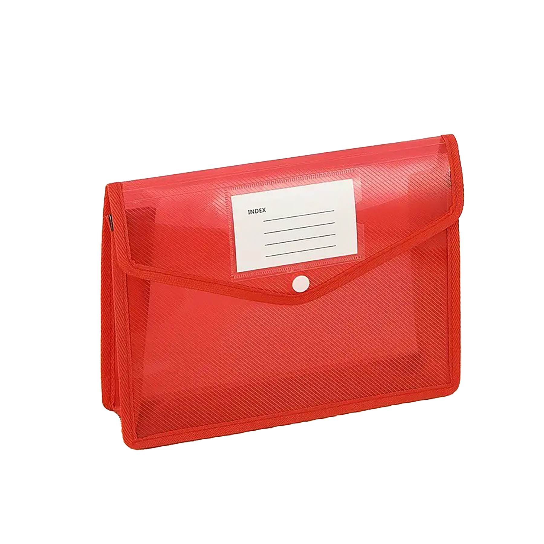 Plastic Expanding Document Folder 31