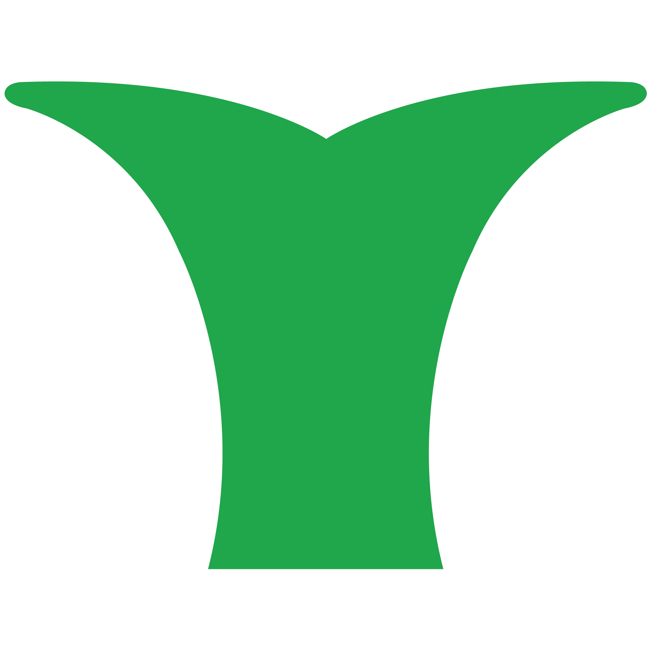 Whale Tail 42