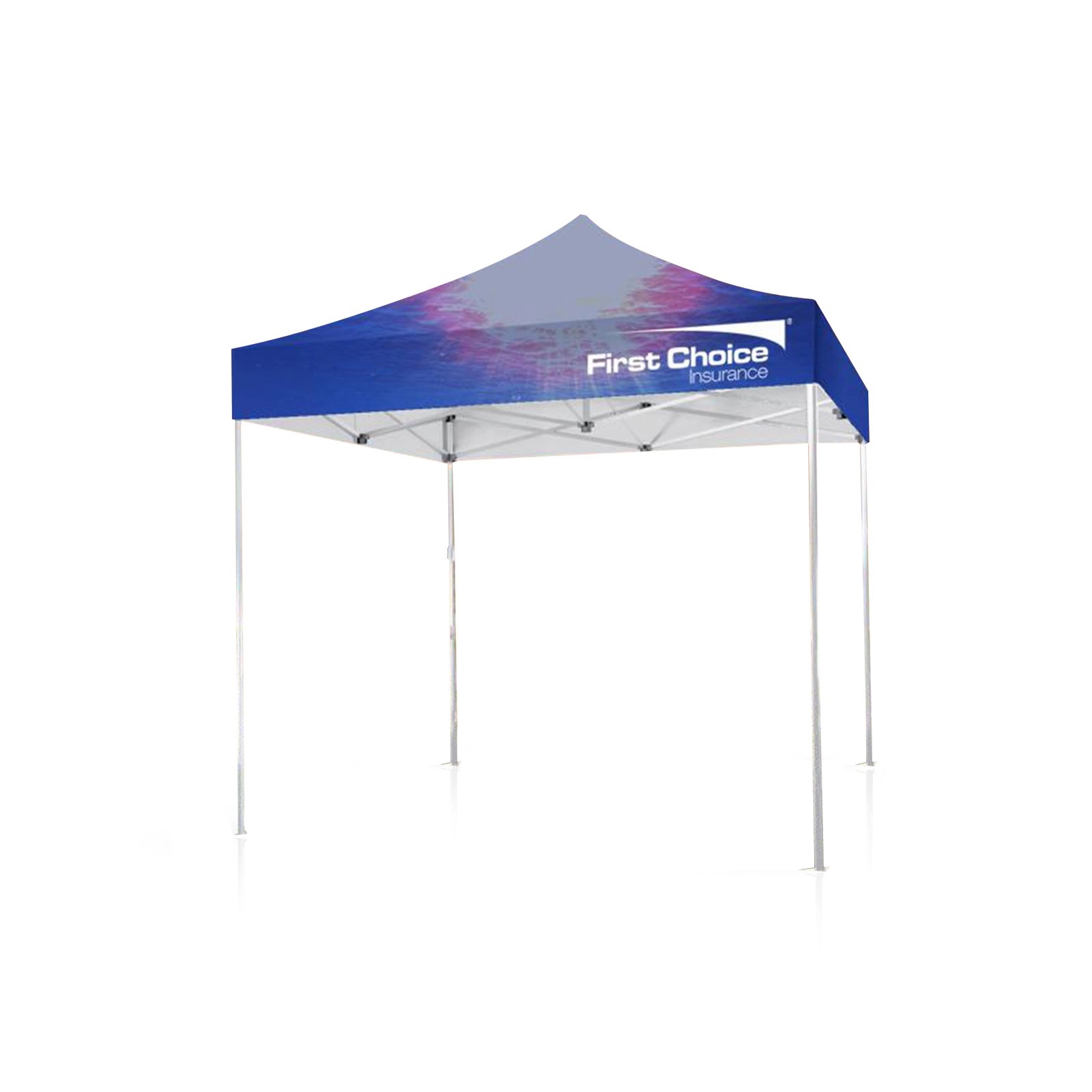 10' X 10' Tent w/ Full Color Canopy 8