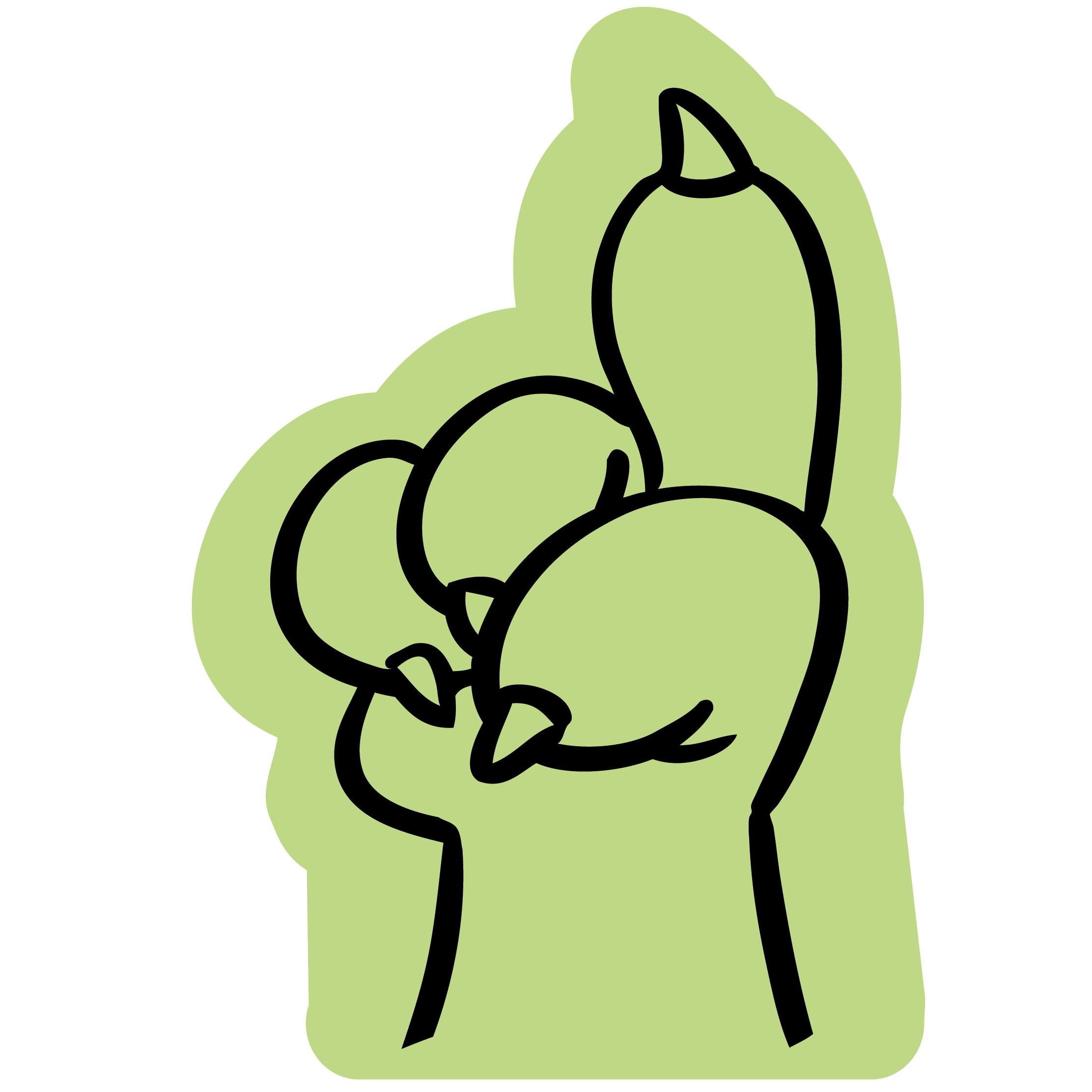 Animal Claw 79