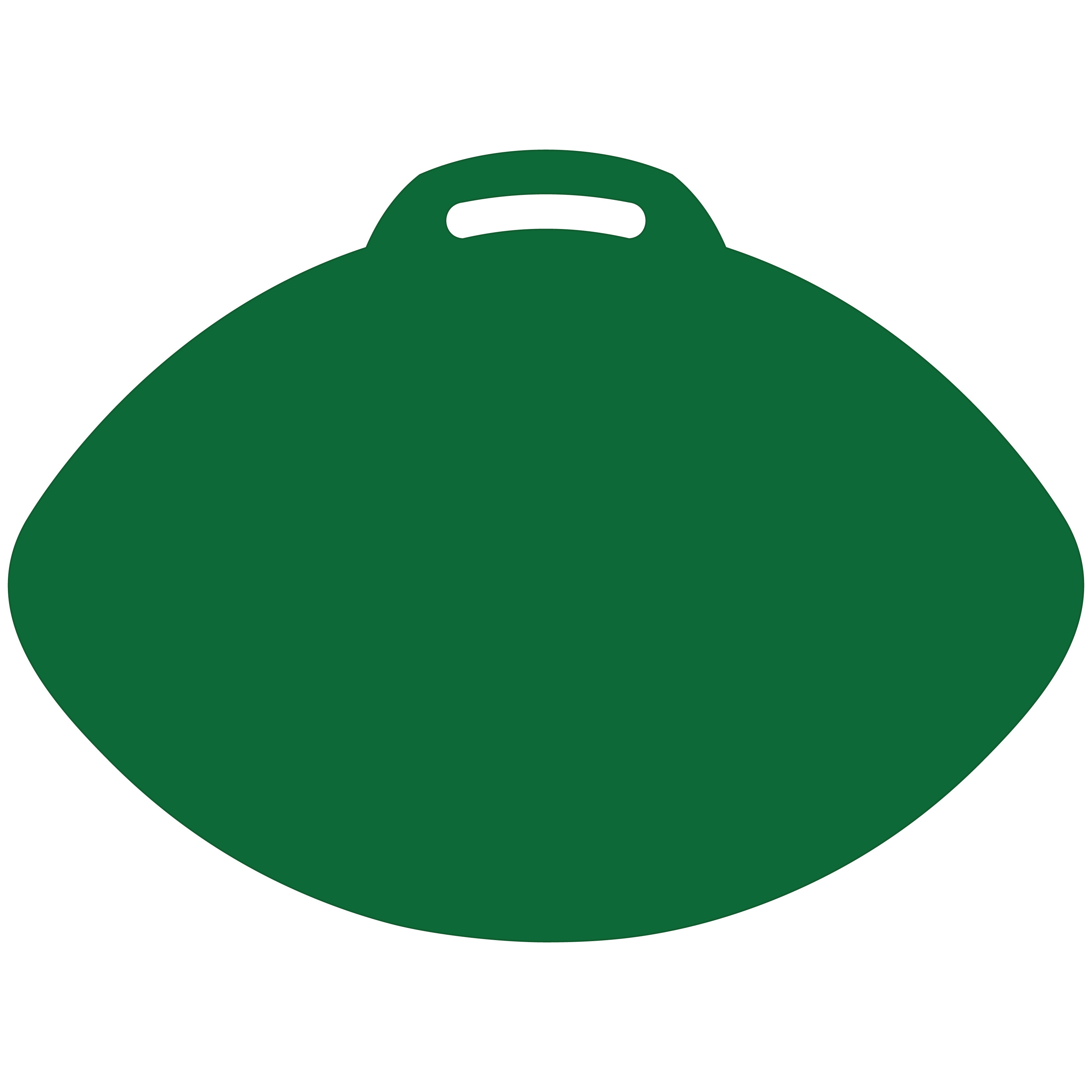 Football-Shaped Vinyl Stadium Cushion (18") 57