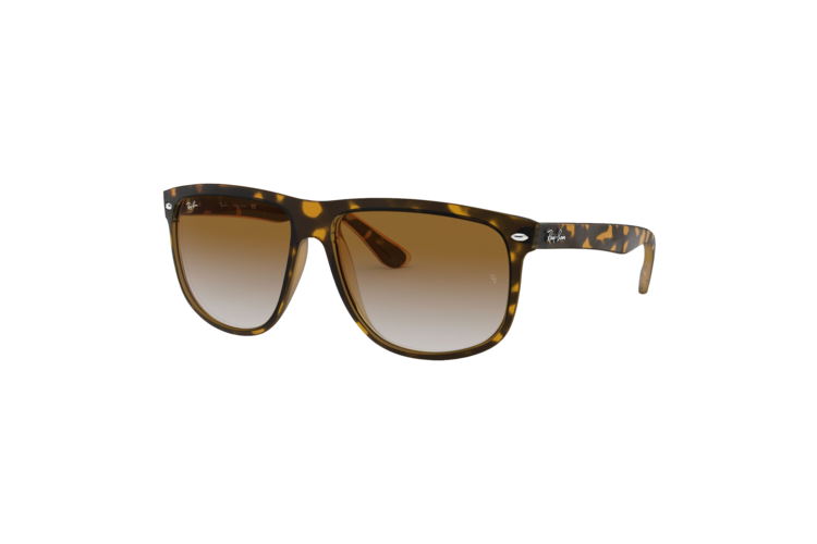 Ray-Ban Boyfriend Sunglasses 3