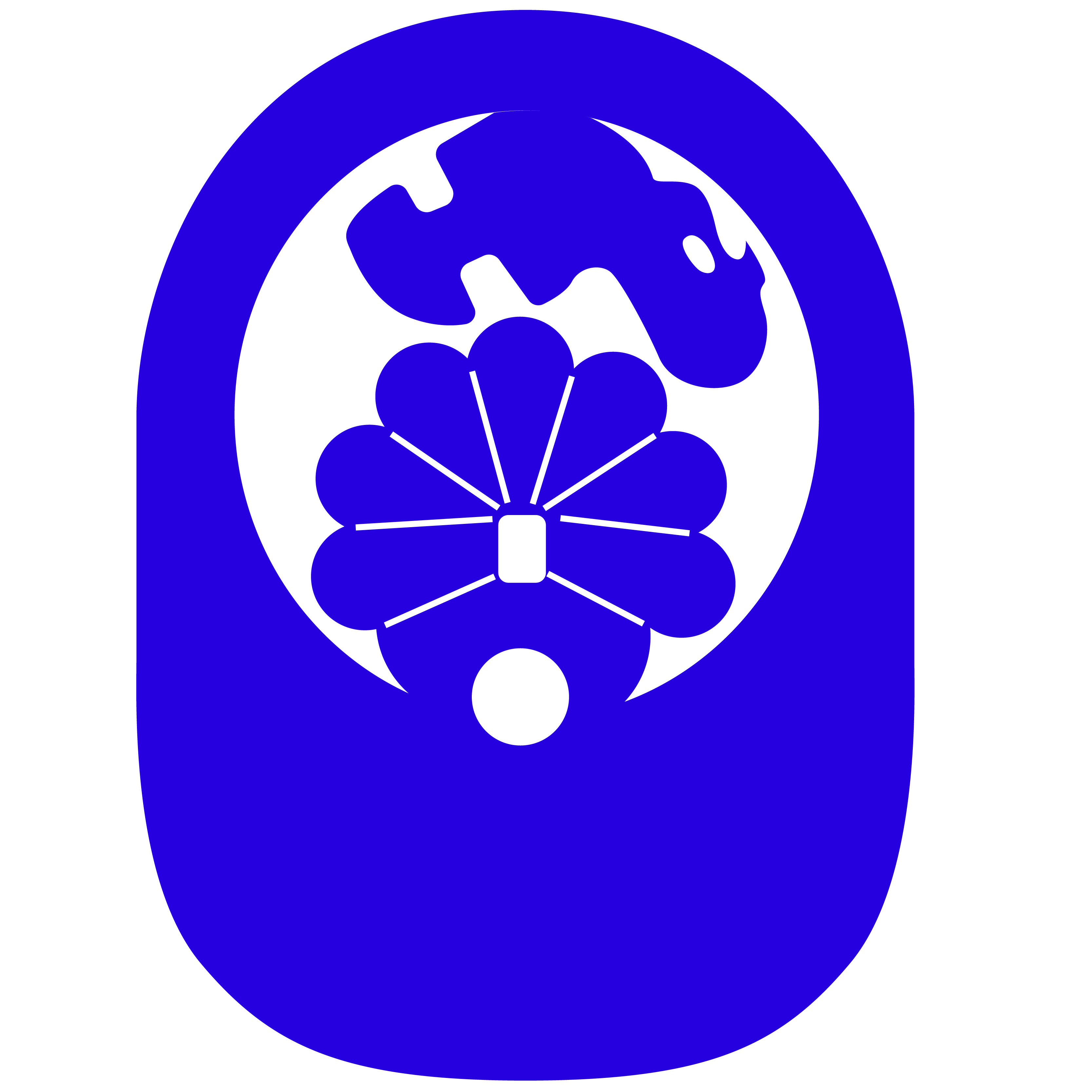 Turkey PopUp Visor 68