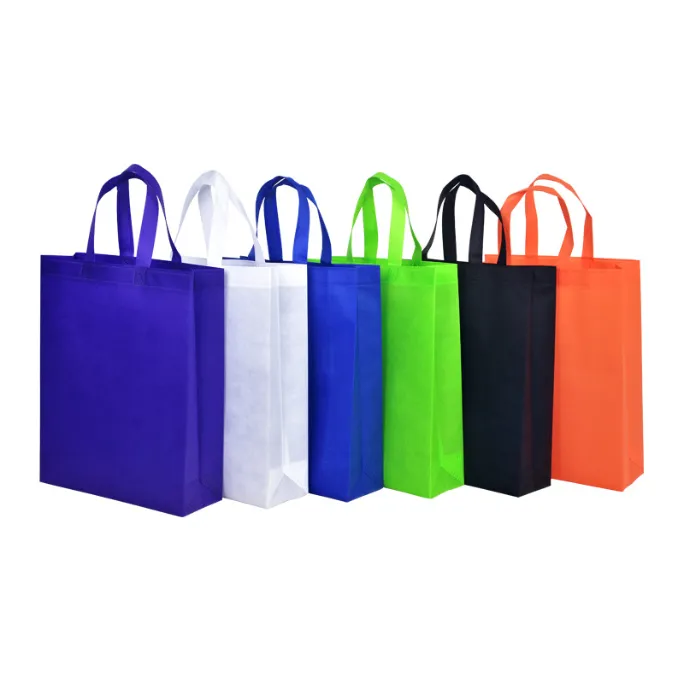 80 gsm Non-Woven Bag/Shopping Bag