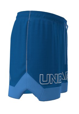 UA Icon Mesh Men's 5 Shorts 18