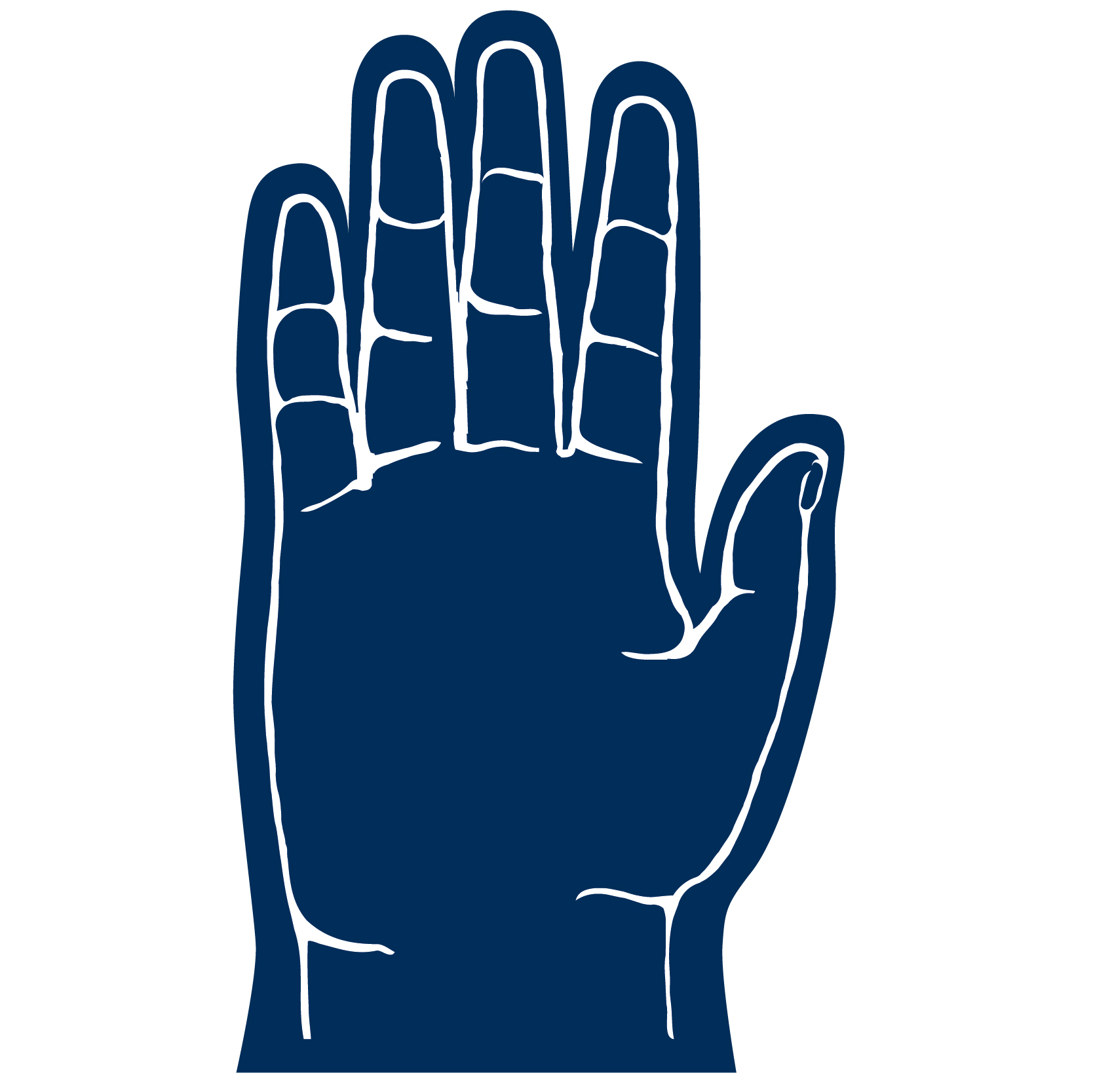 5 Finger Foam hand 42