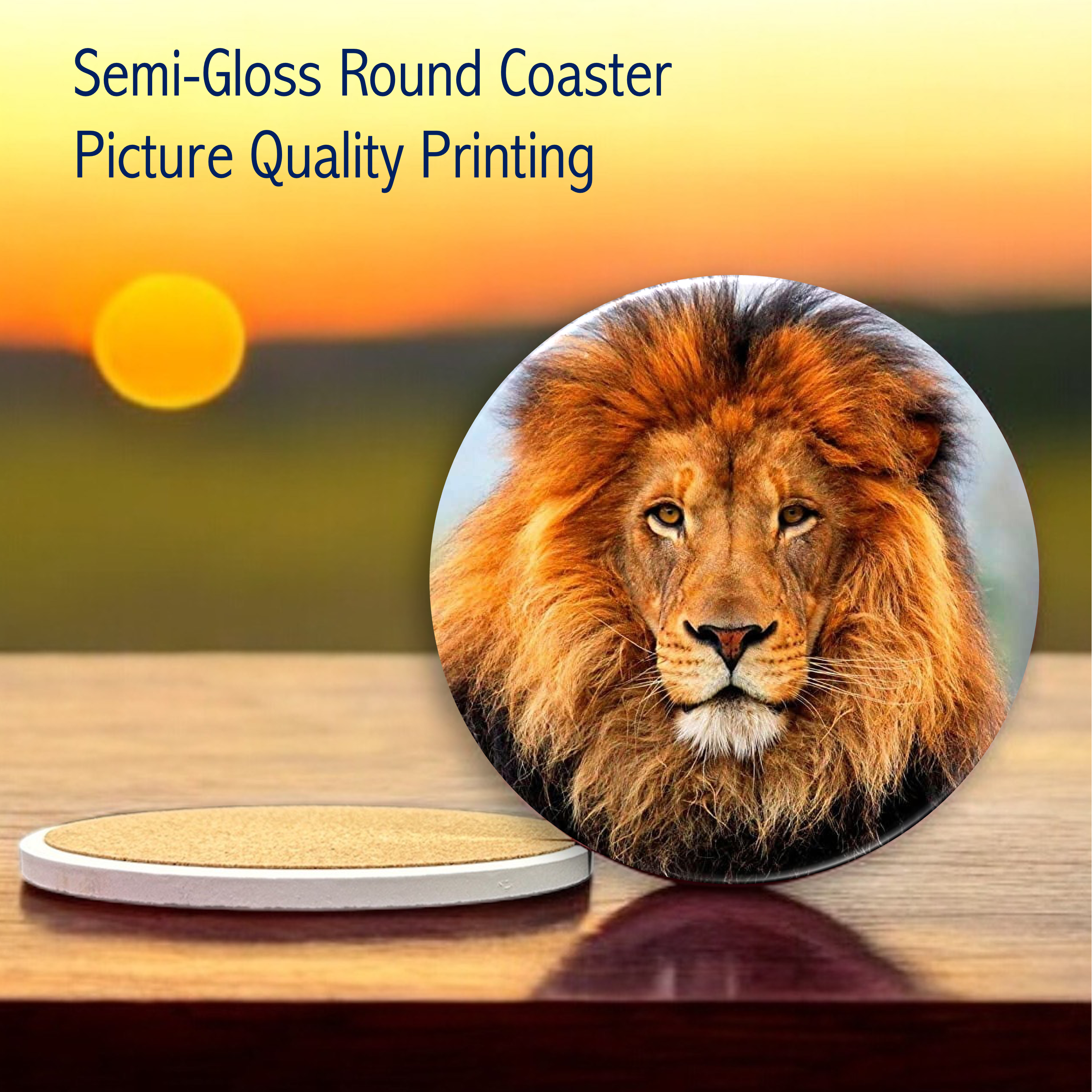 Semi-Gloss White Ceramic Round Coaster 15