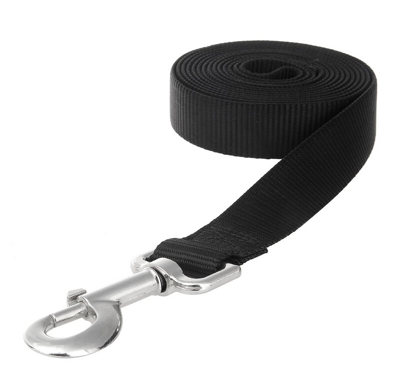 Dog Leash