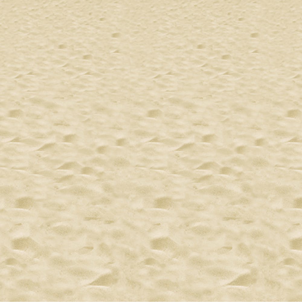 Beach Backdrops - 4' x 30' 3