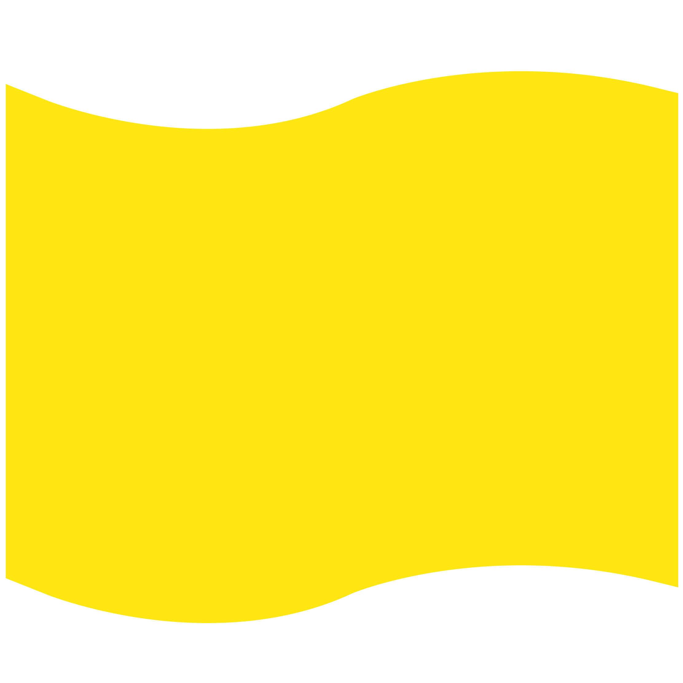 Foam Flag Mitt 39