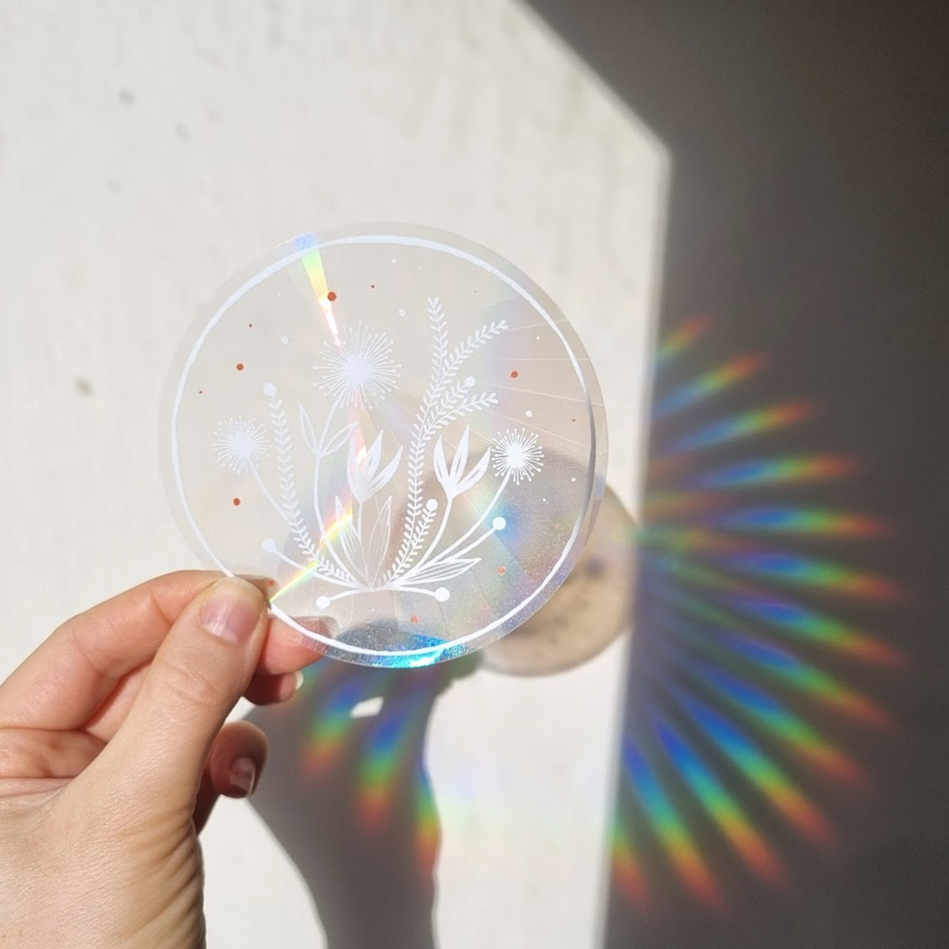 Customer product photo of rainbow suncatcher sticker casting rainbows on wall by Katia Hinic