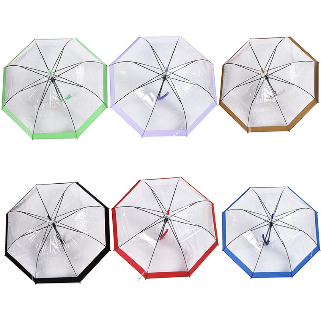 Clear and Transparent Umbrella