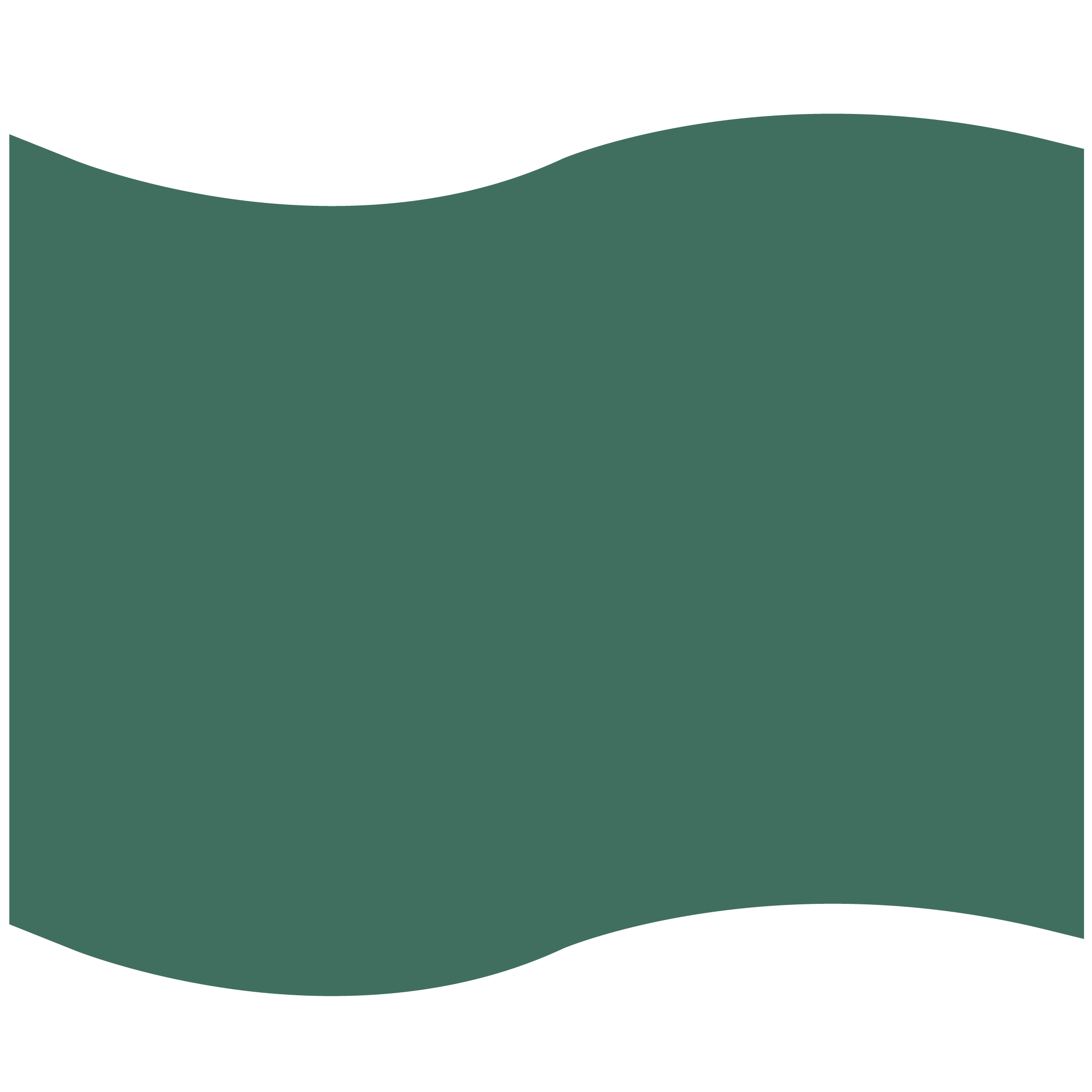 Foam Flag Mitt 49